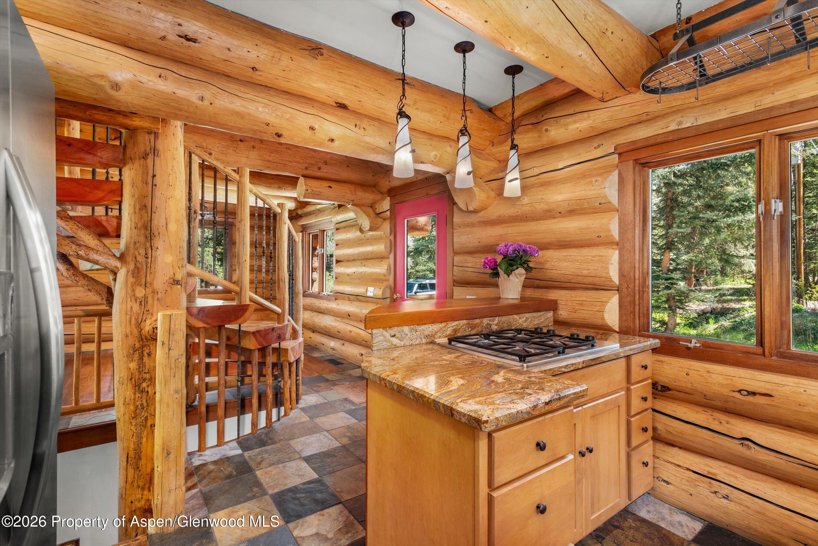 233 Bobcat Lane Redstone CO 81623
