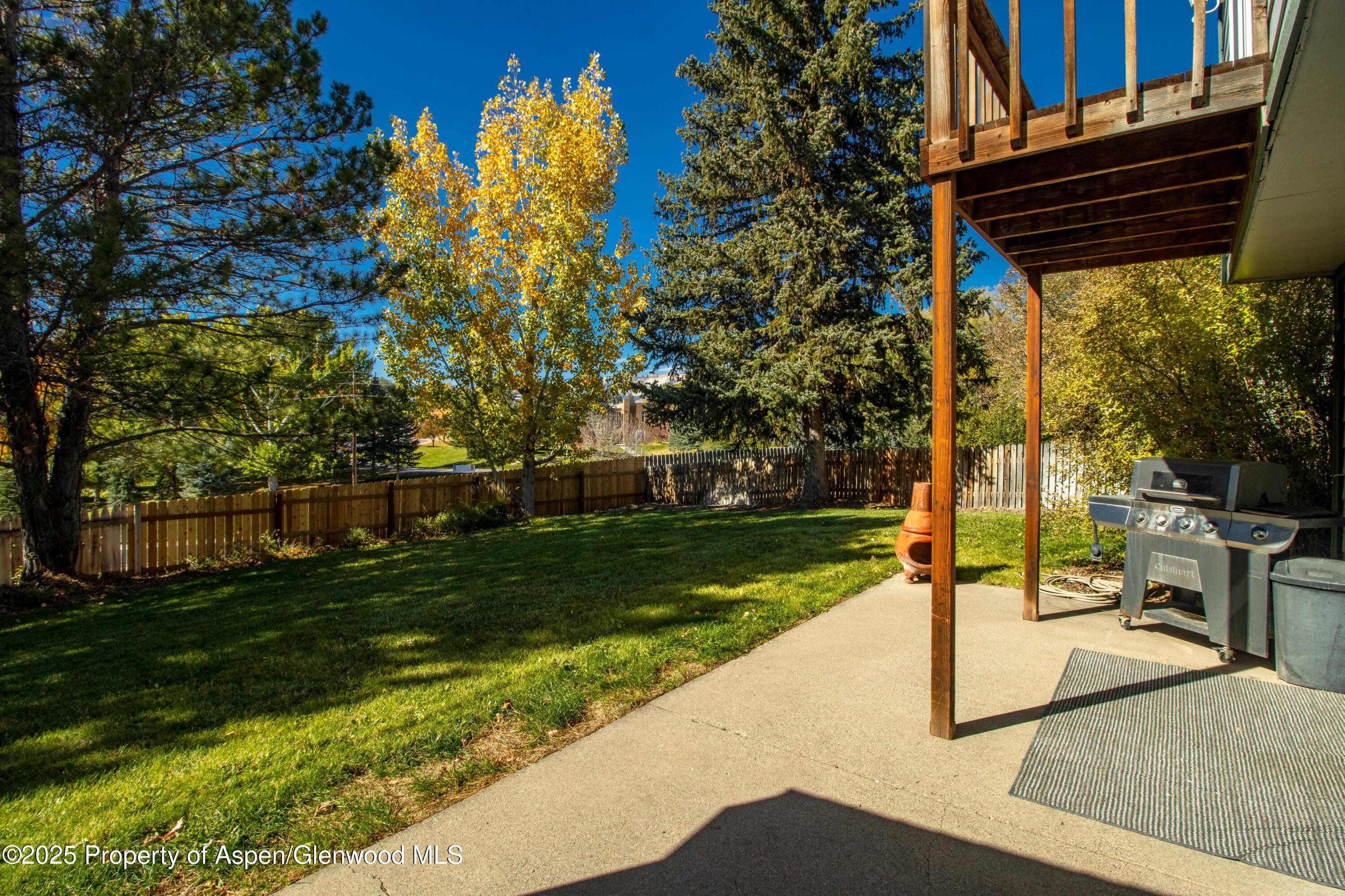 751 Buckeye Court Rifle CO 81650