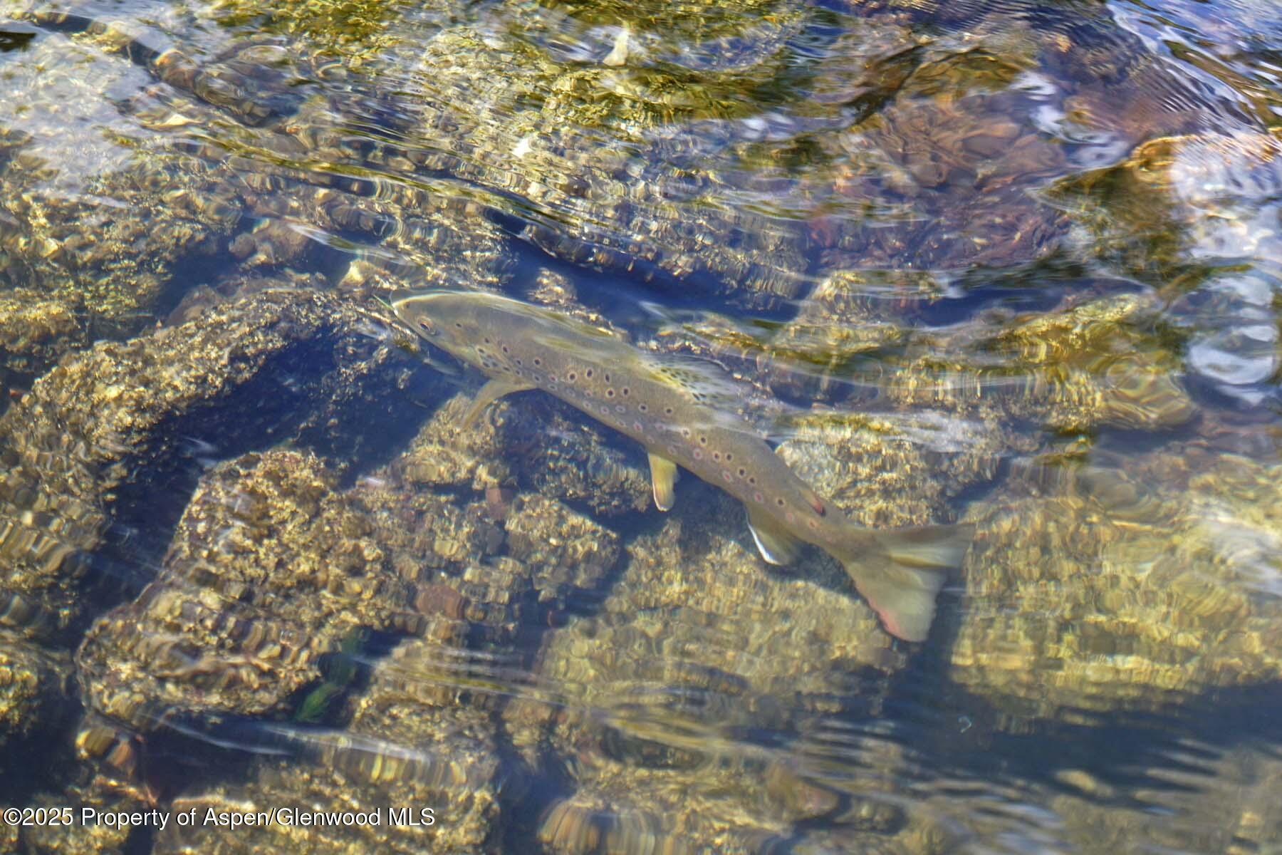 2650 Sweetwater Road Gypsum CO 81637