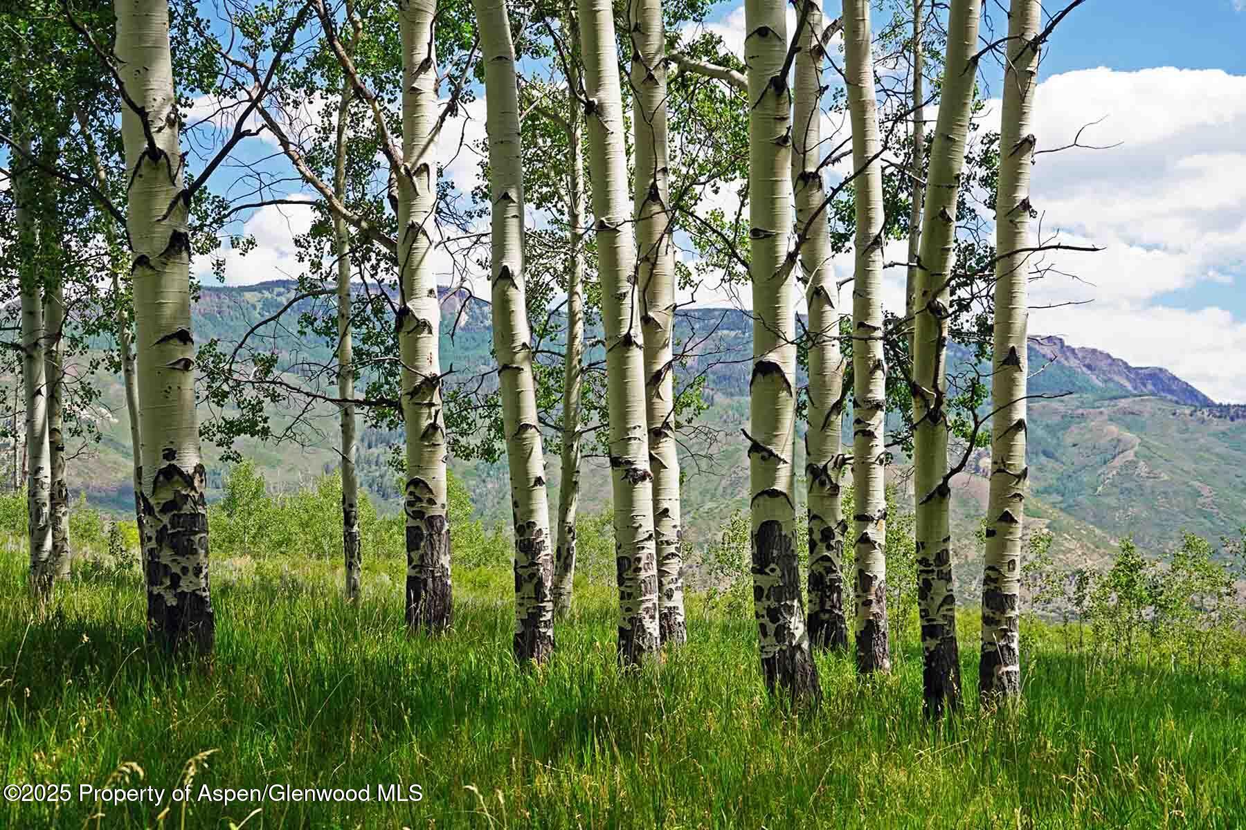 2650 Sweetwater Road Gypsum CO 81637