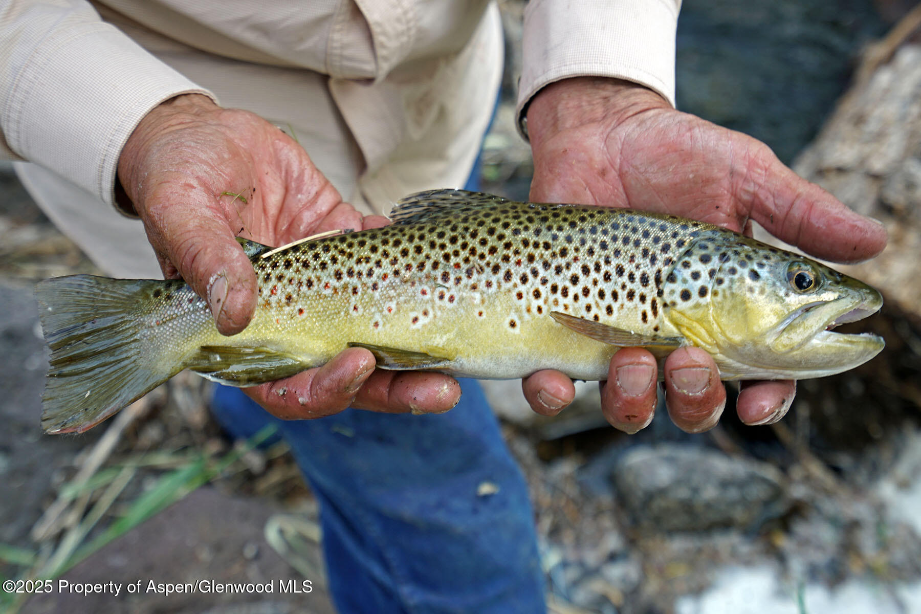 2650 Sweetwater Road Gypsum CO 81637