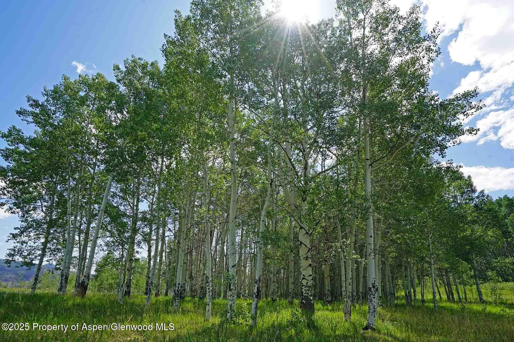 2650 Sweetwater Road Gypsum CO 81637