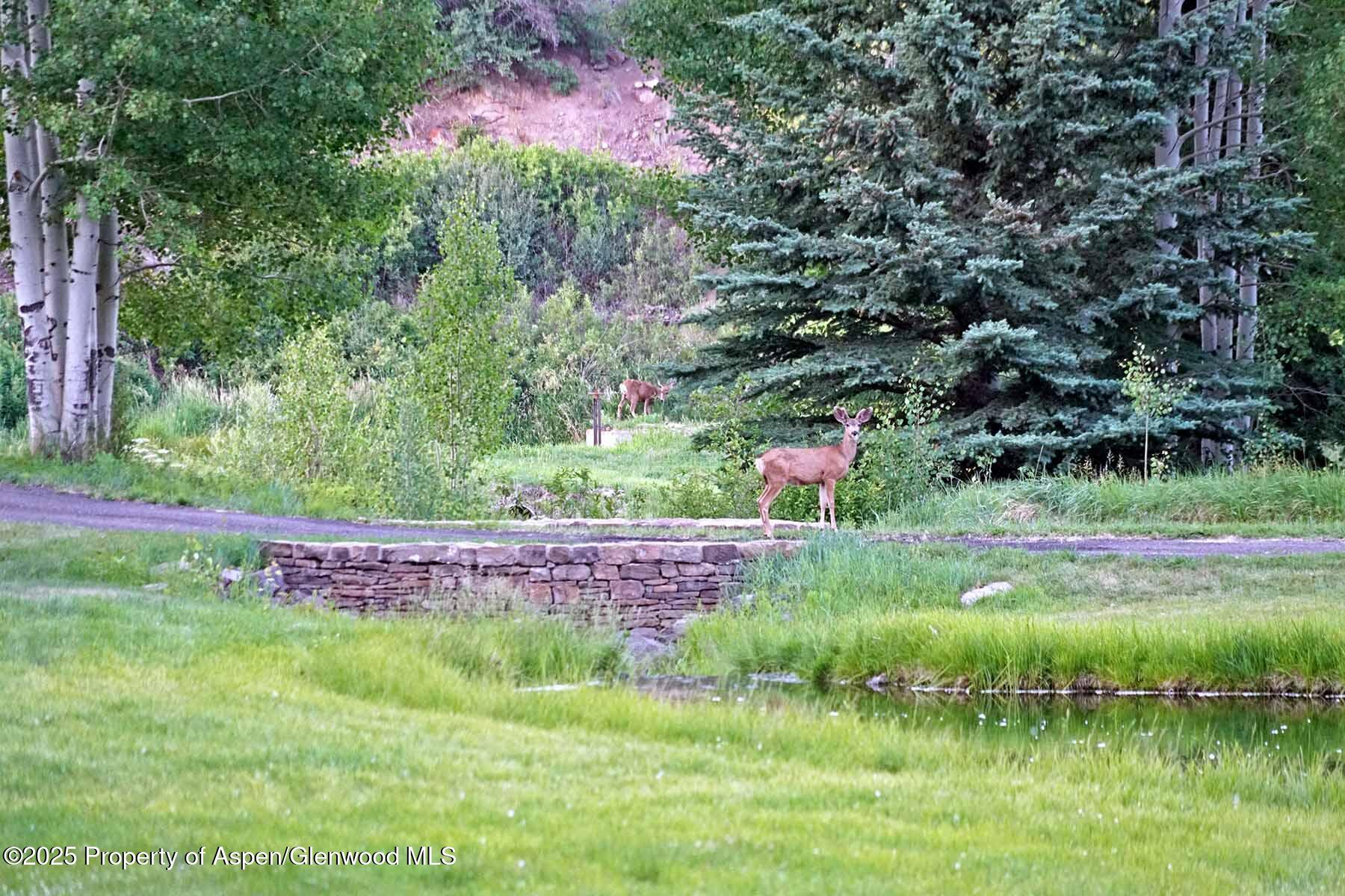 2650 Sweetwater Road Gypsum CO 81637