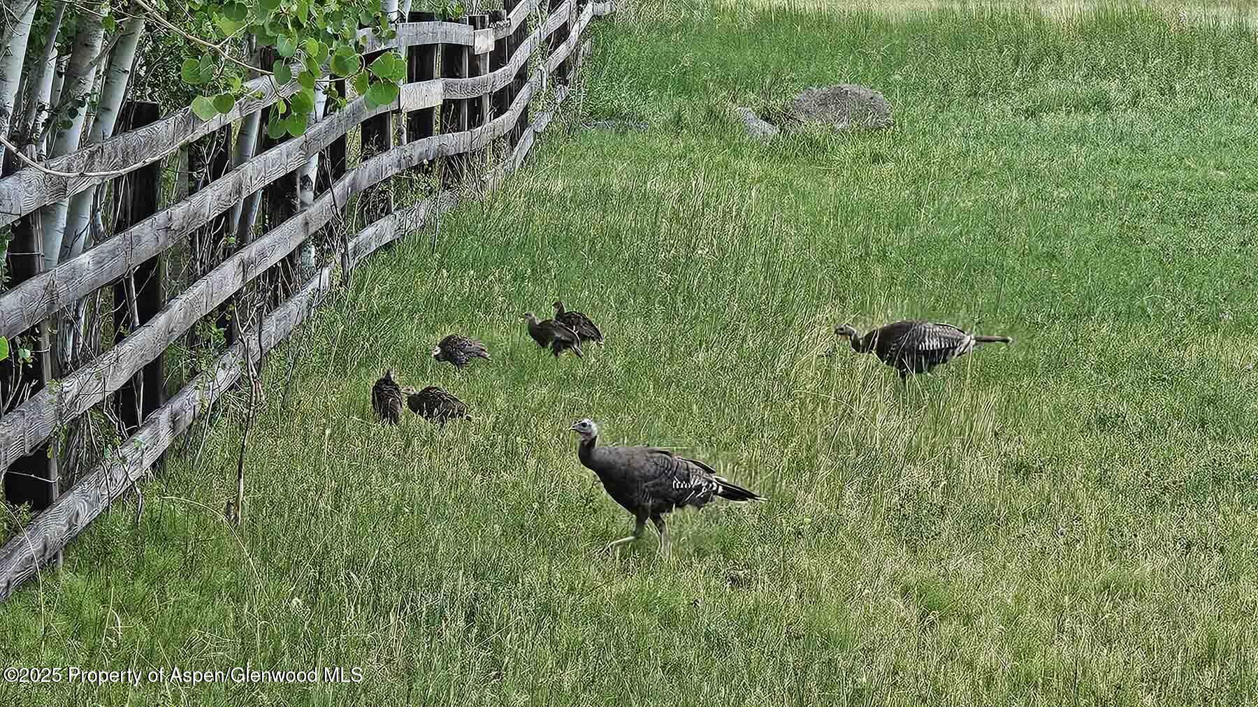 2650 Sweetwater Road Gypsum CO 81637