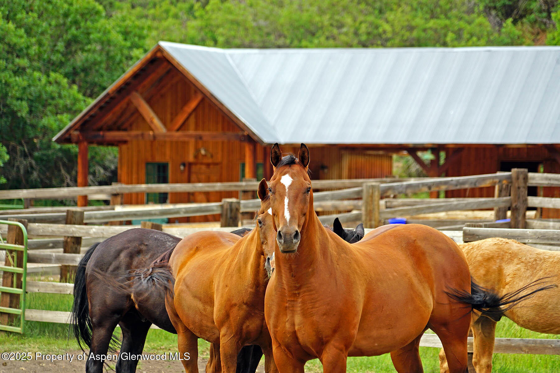 2650 Sweetwater Road Gypsum CO 81637