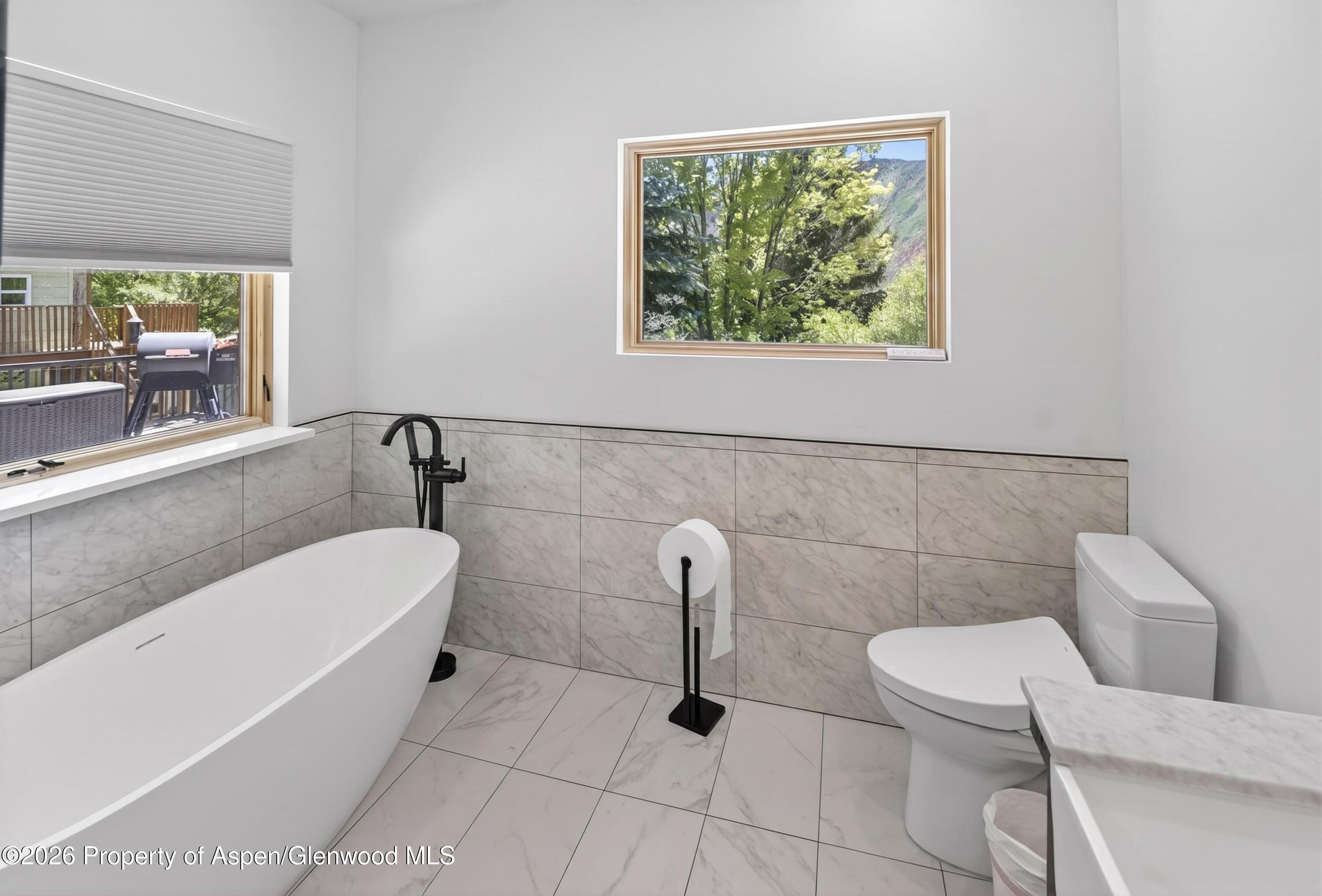 142 Tanager Drive Glenwood Springs CO 81601