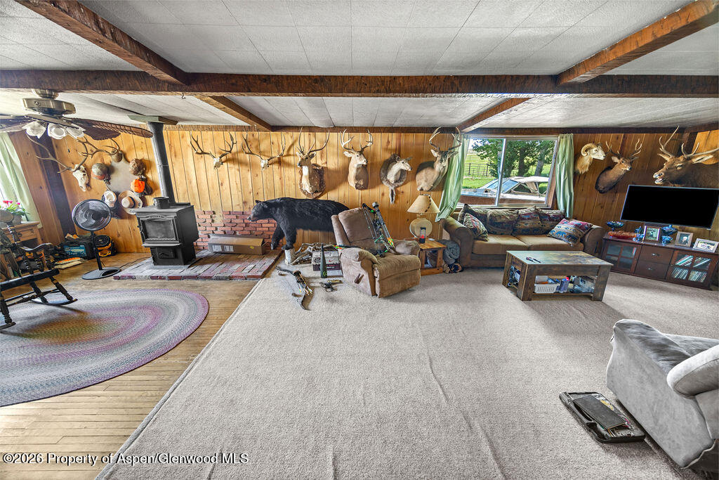 36 Collom Street Maybell CO 81640