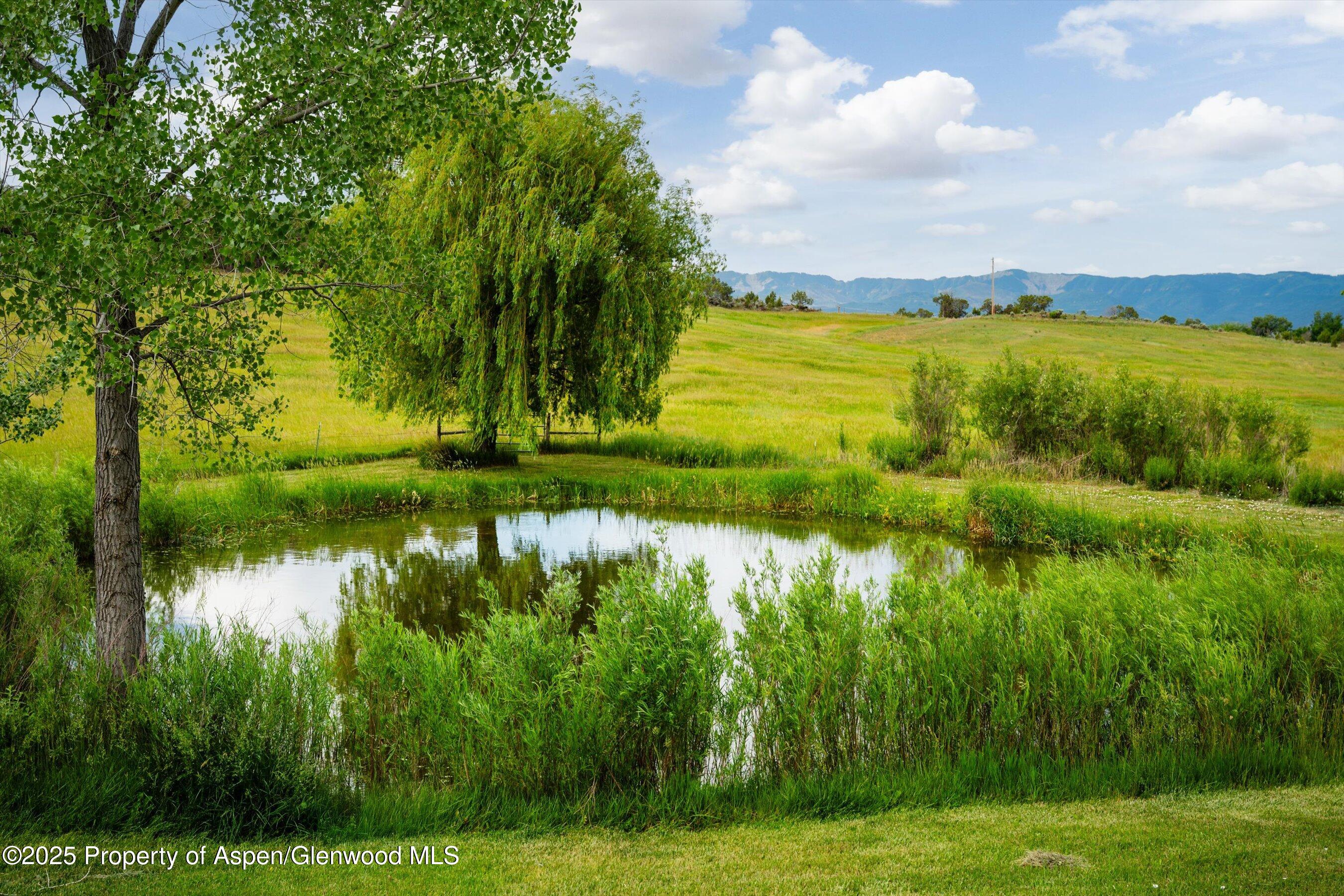 1563 County Road 326 Silt CO 81652