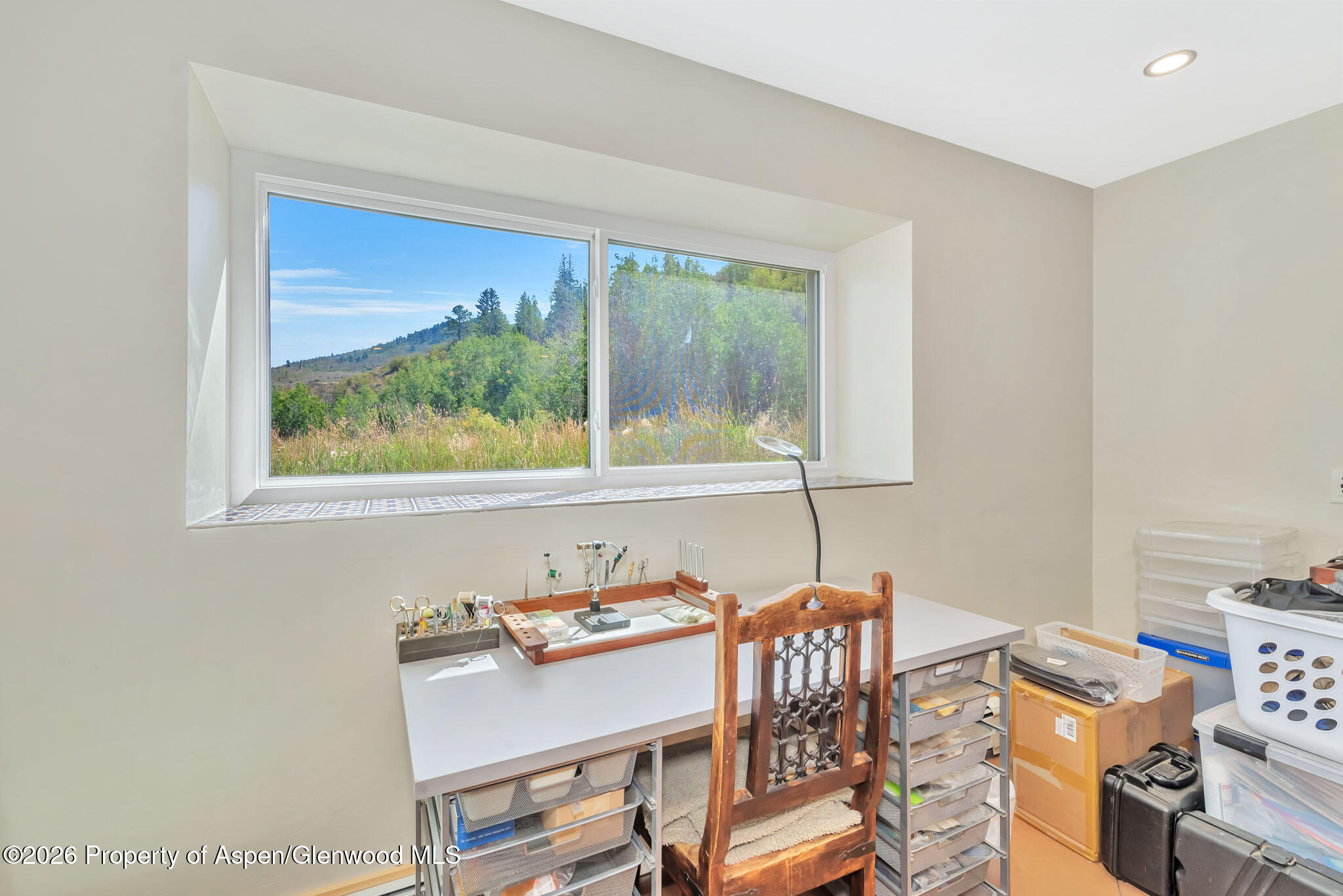 23615 Stagehorn Trail Oak Creek CO 80467
