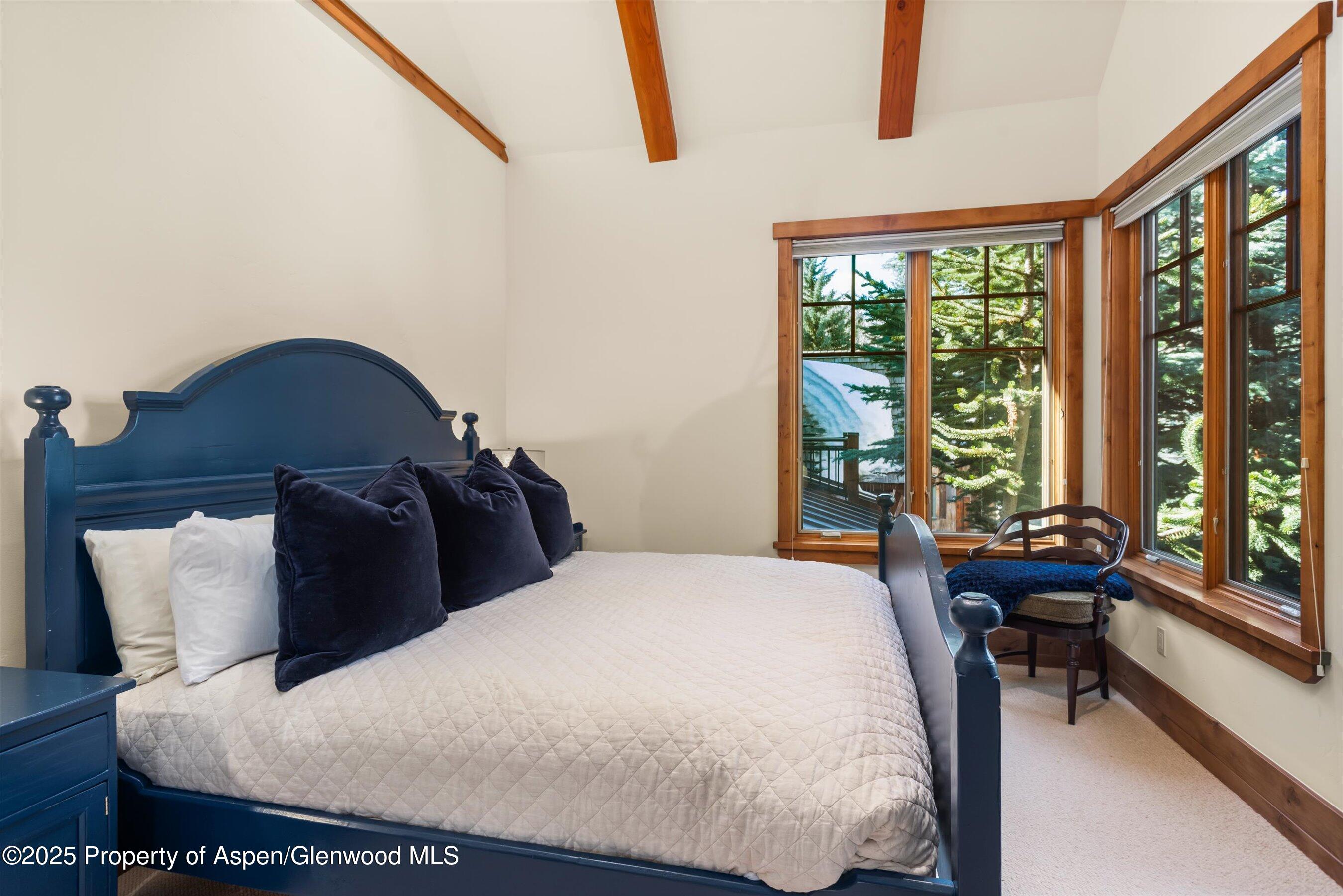 101 & 103 S Seventh Street Aspen CO 81611