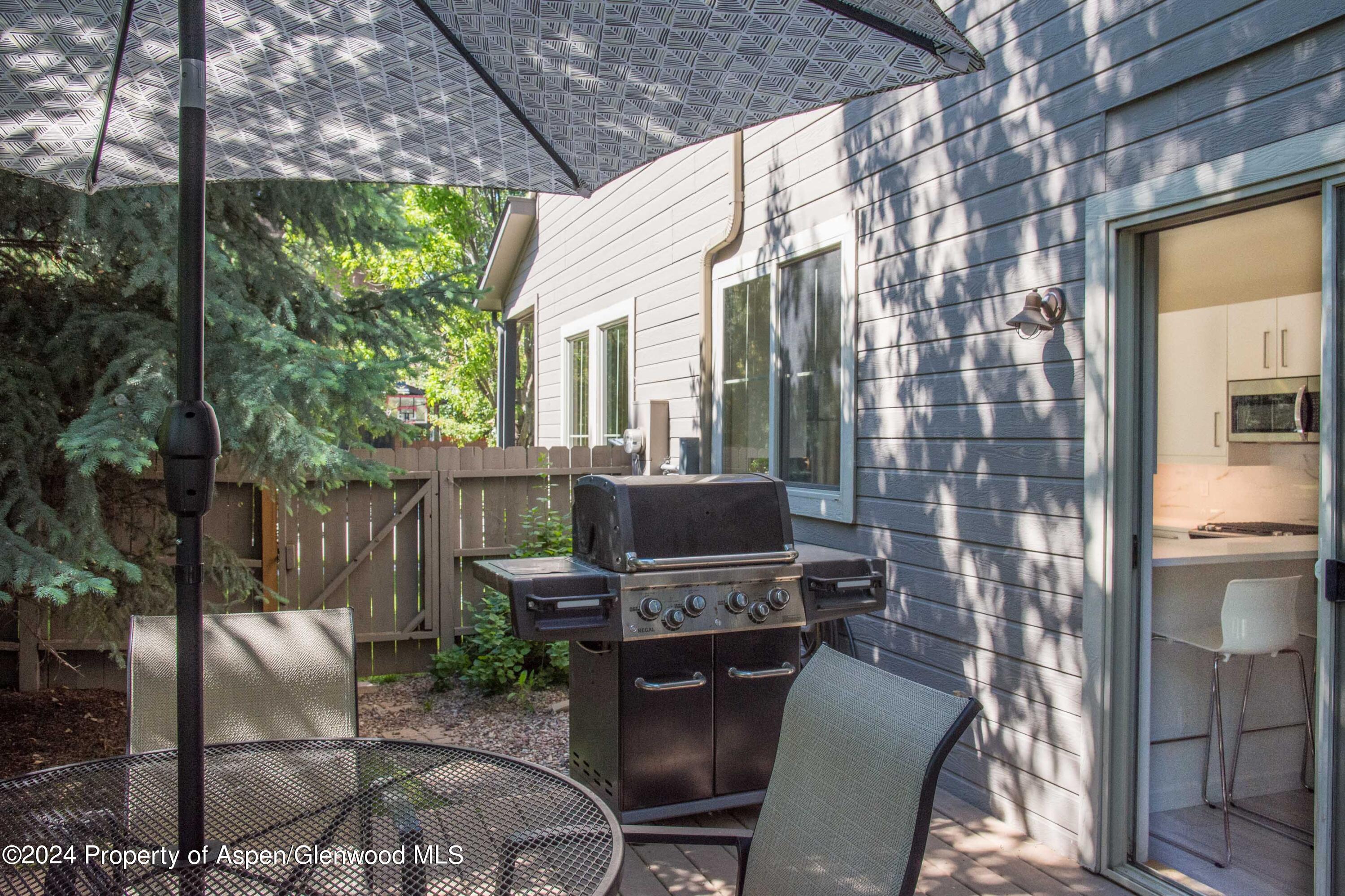 509 Lake Court Basalt CO 81621