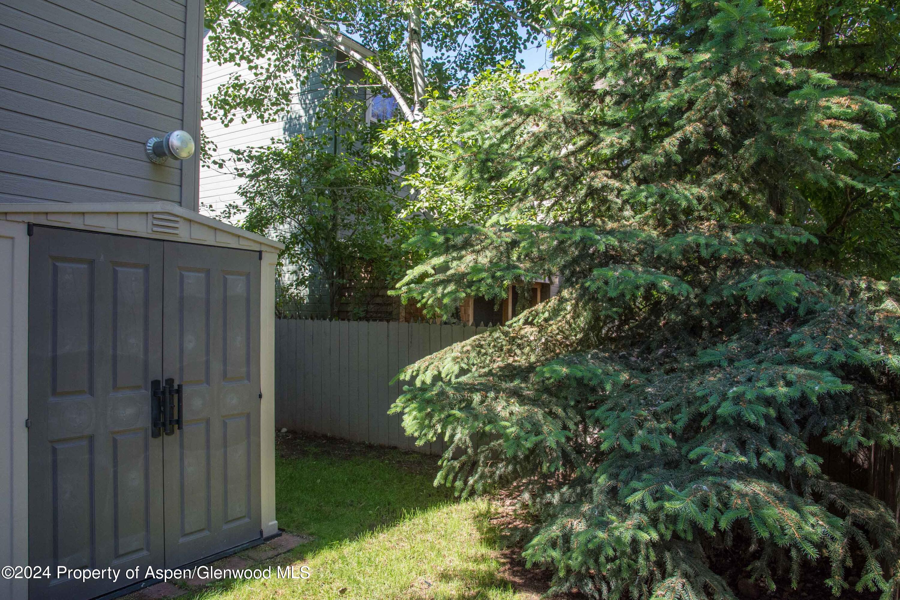 509 Lake Court Basalt CO 81621