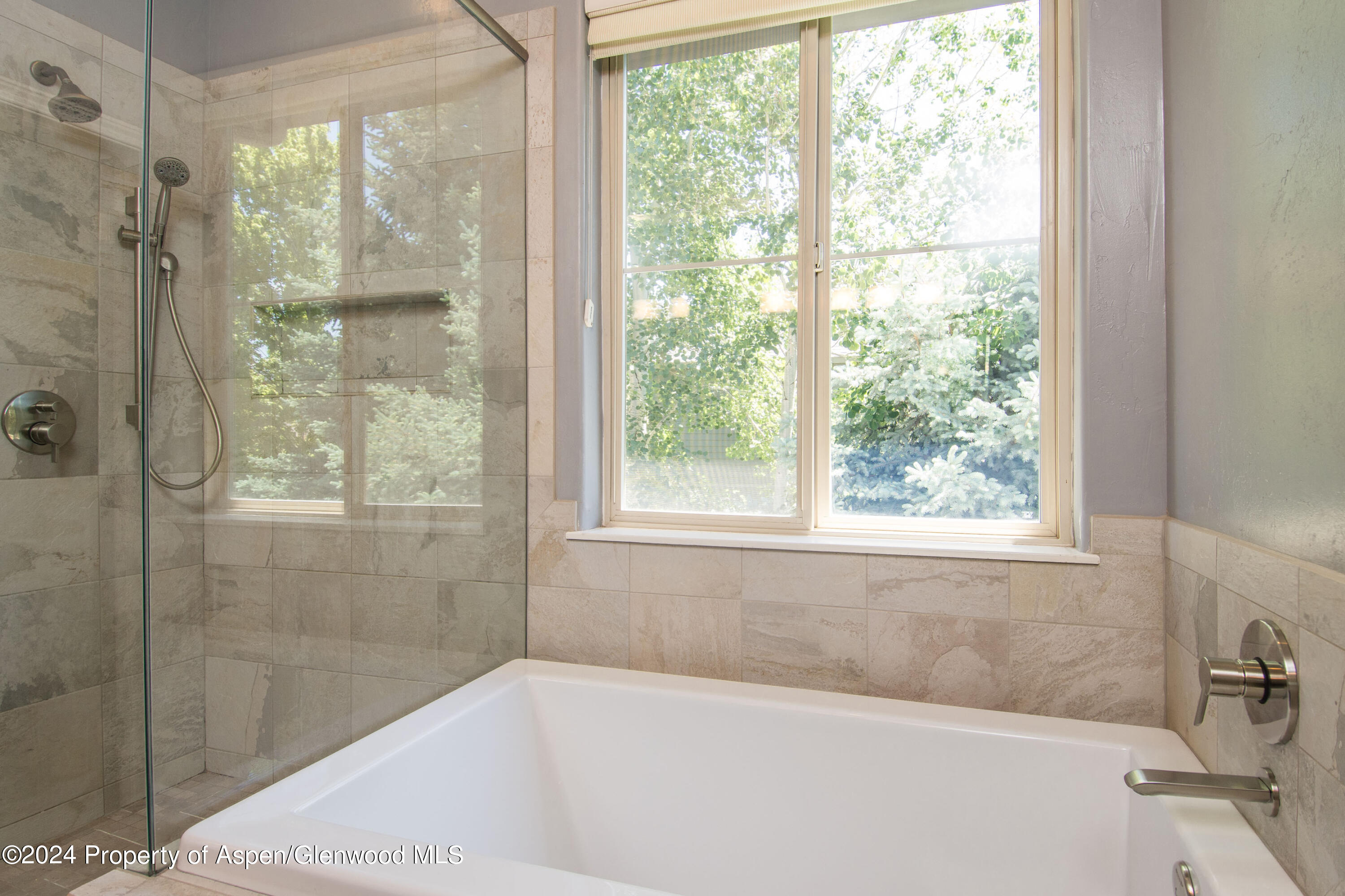 509 Lake Court Basalt CO 81621