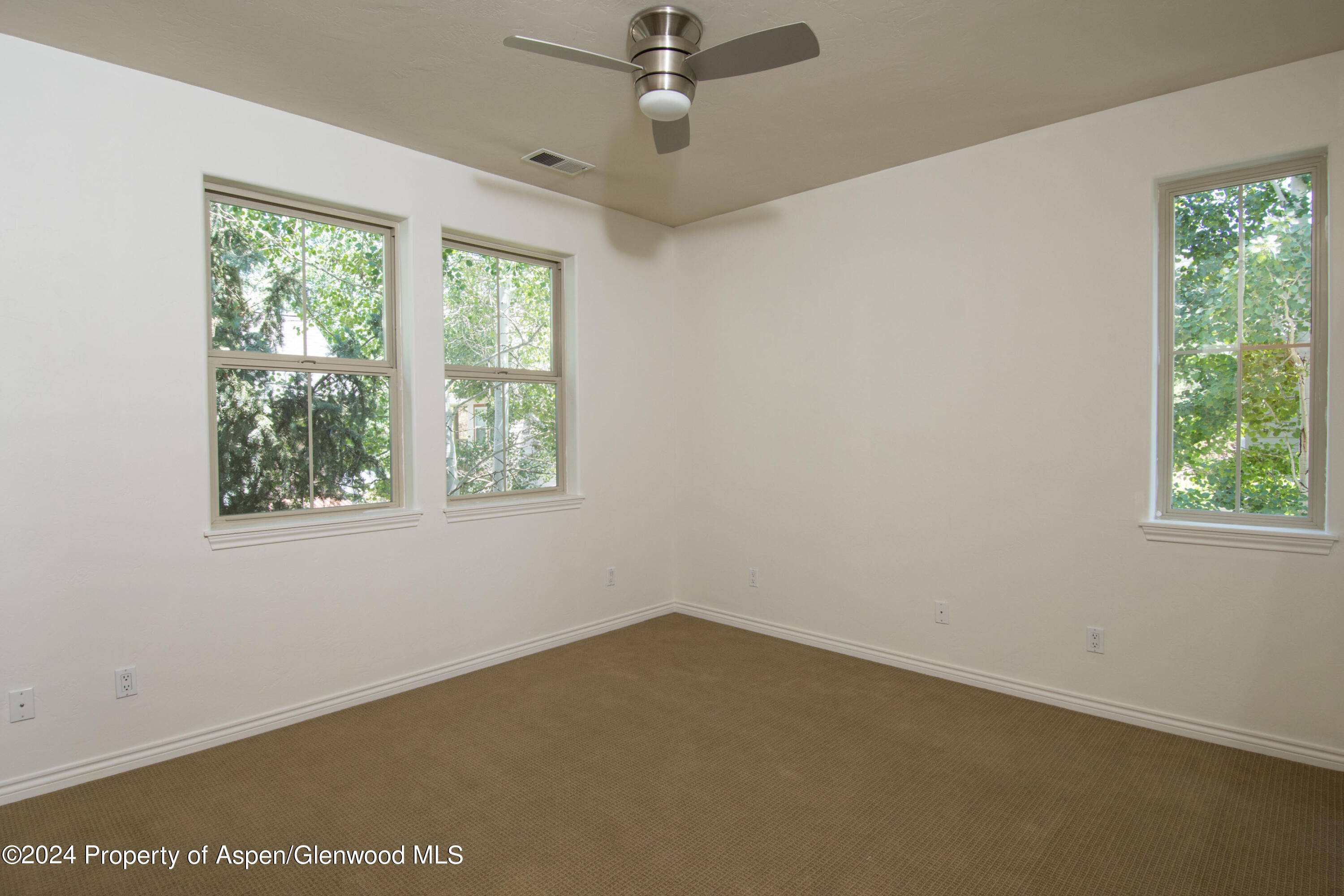 509 Lake Court Basalt CO 81621