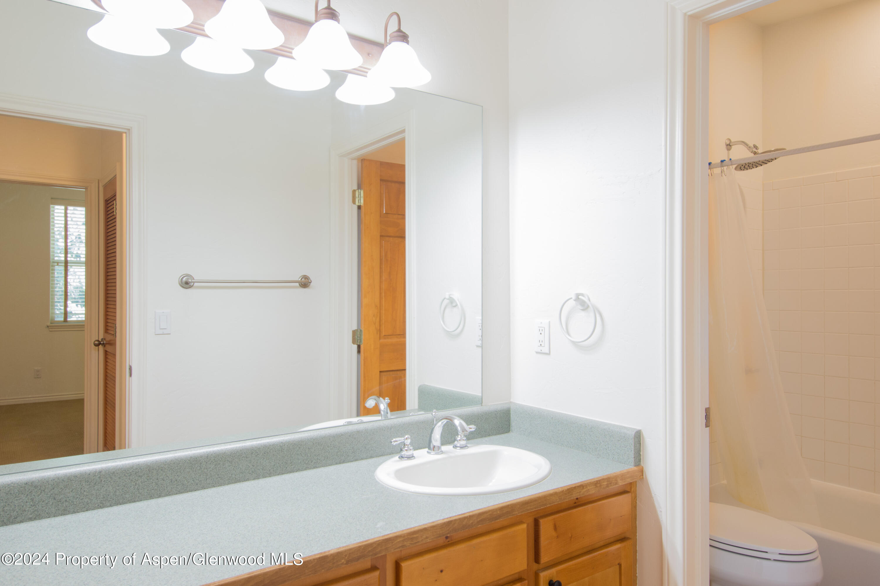 509 Lake Court Basalt CO 81621