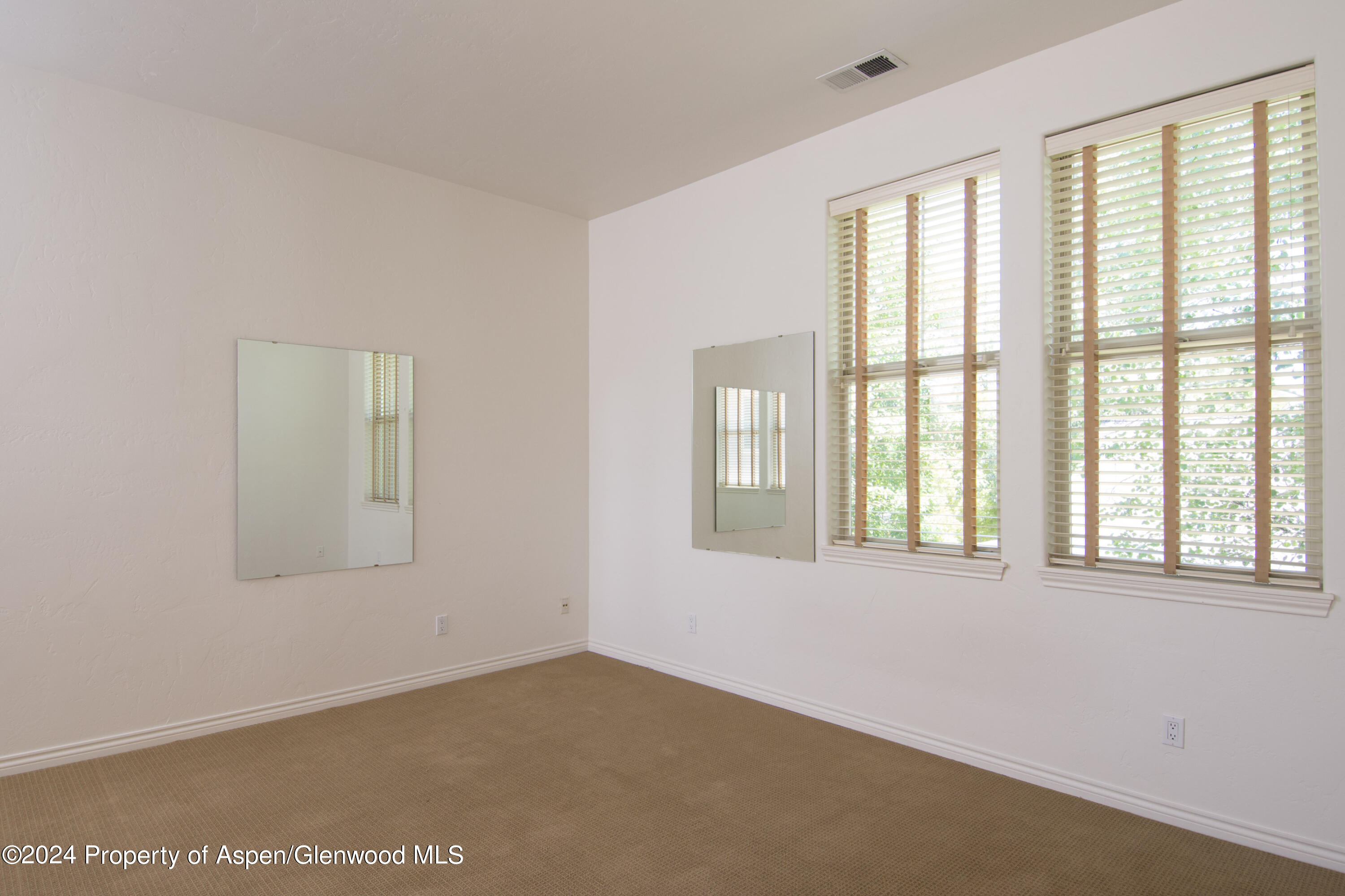 509 Lake Court Basalt CO 81621