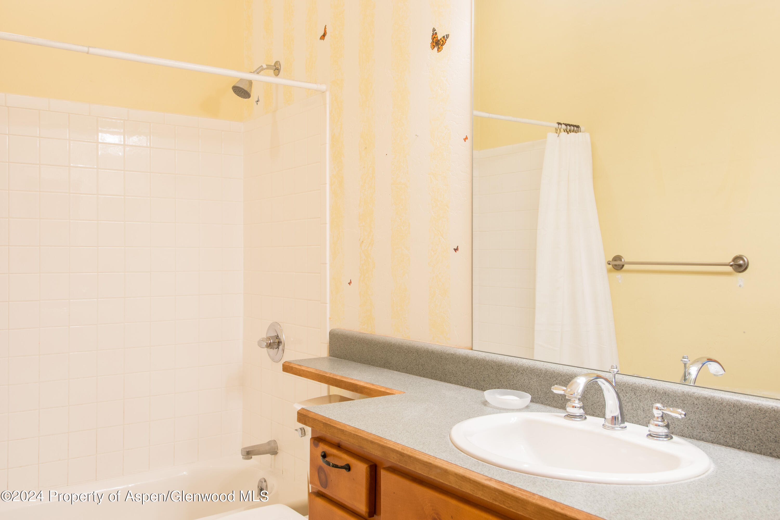 509 Lake Court Basalt CO 81621