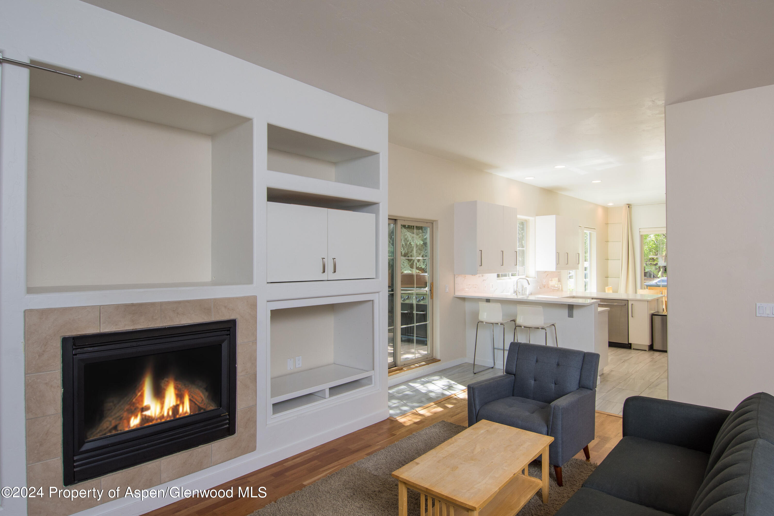 509 Lake Court Basalt CO 81621