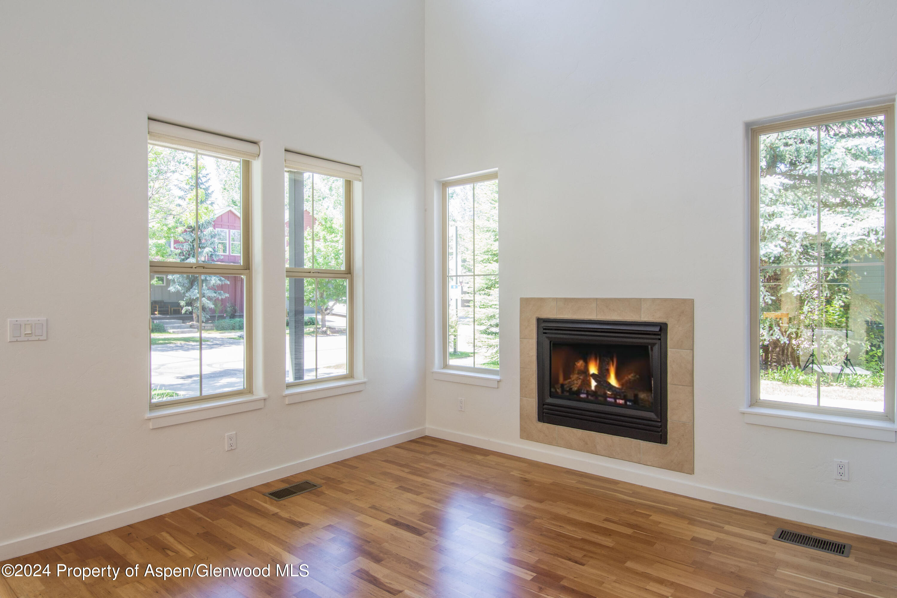 509 Lake Court Basalt CO 81621