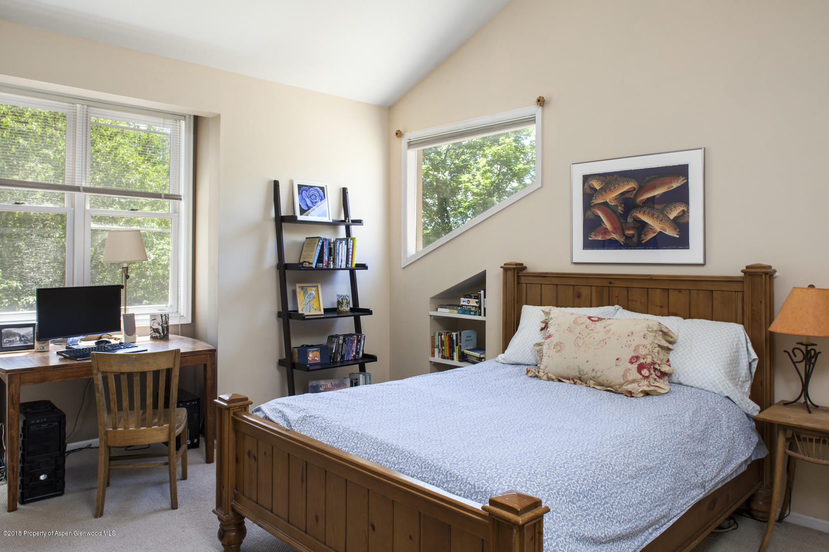 205 Tanager Drive Glenwood Springs CO 81601