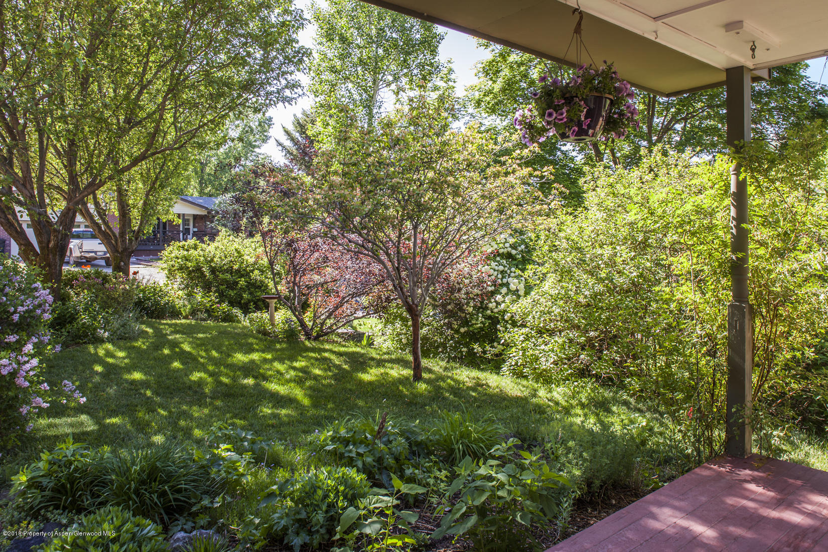 205 Tanager Drive Glenwood Springs CO 81601