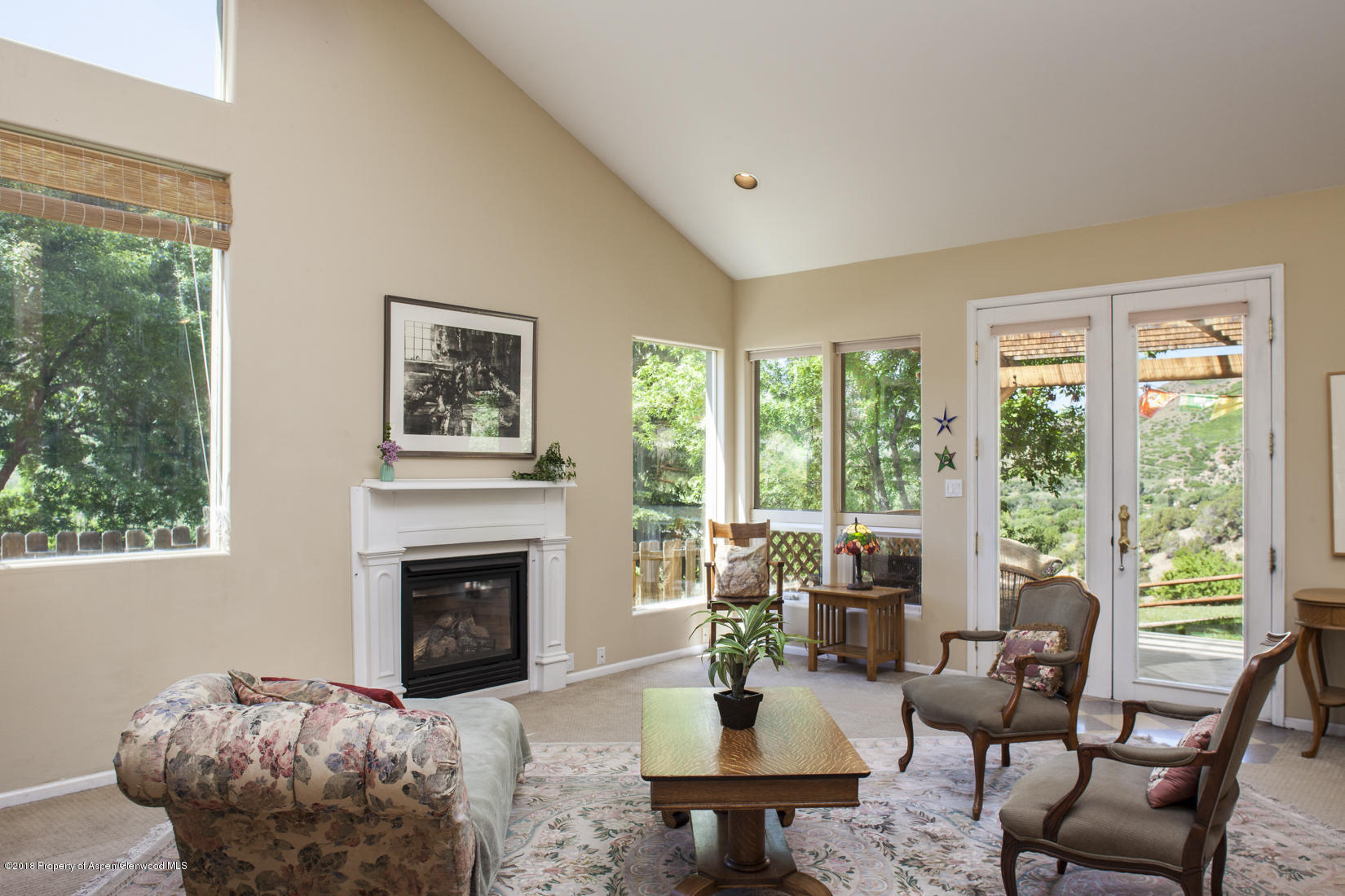 205 Tanager Drive Glenwood Springs CO 81601