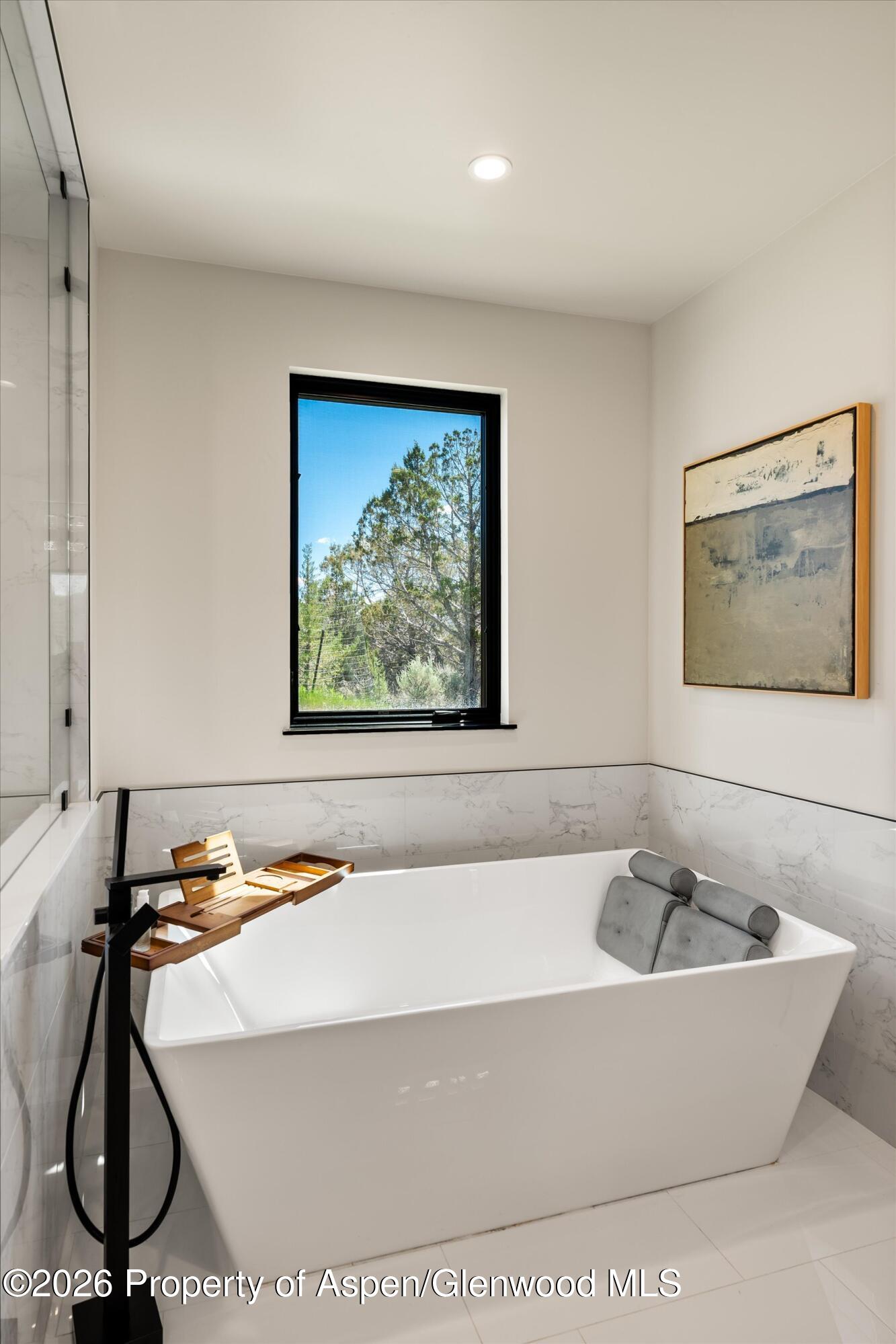 182 Kingbird Court Glenwood Springs CO 81601