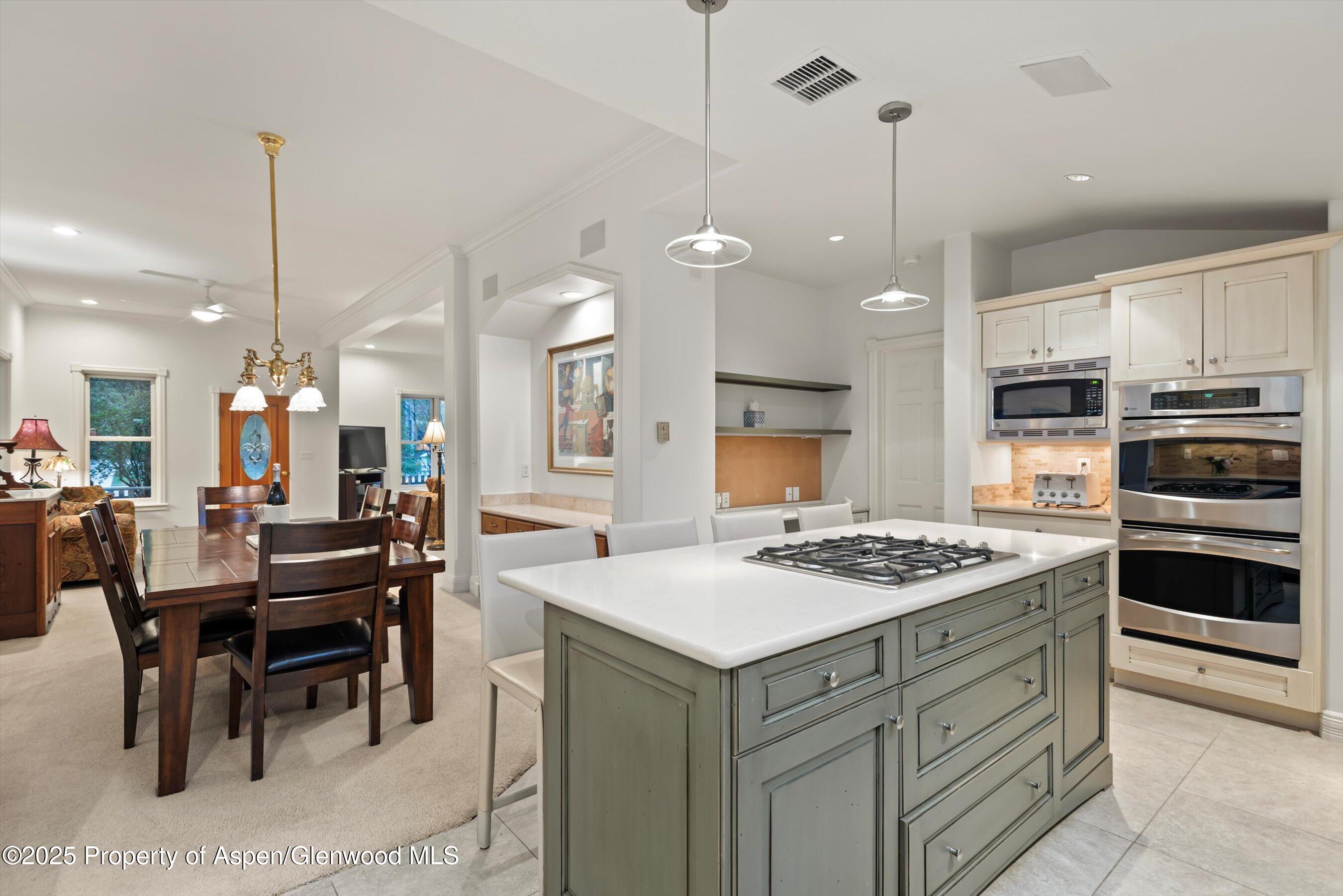 716 & 718 W Hallam Street Aspen CO 81611