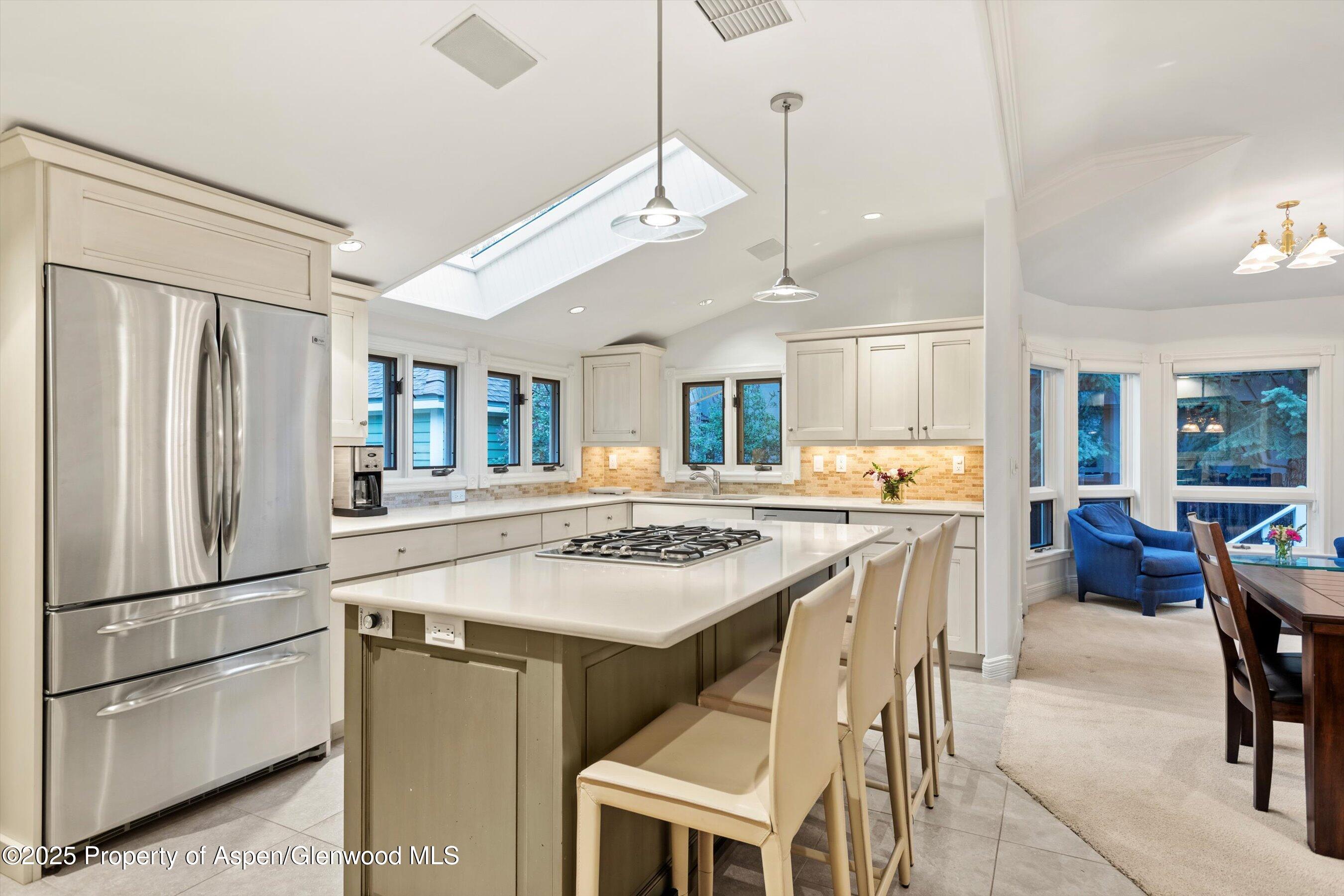 716 & 718 W Hallam Street Aspen CO 81611