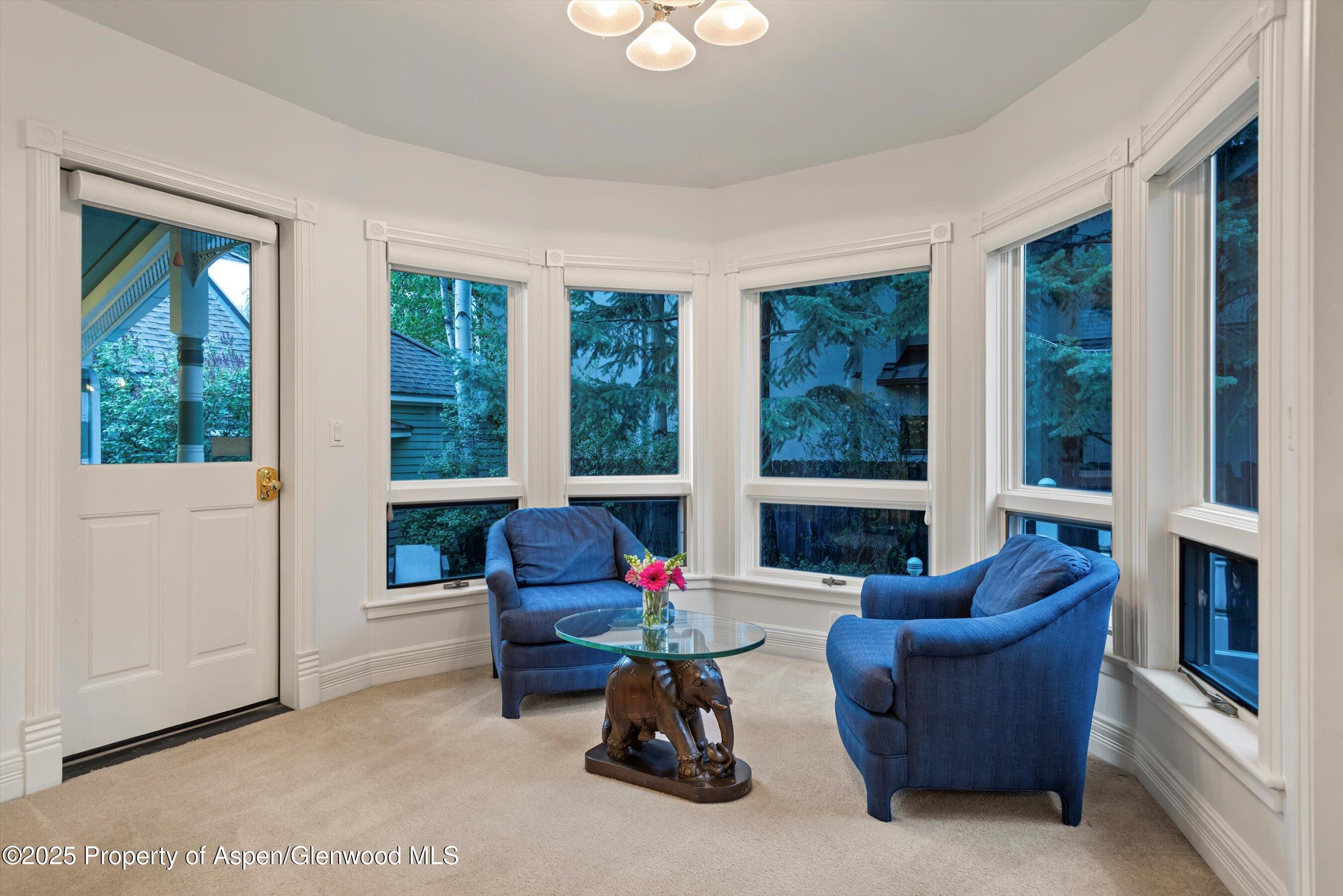 716 & 718 W Hallam Street Aspen CO 81611