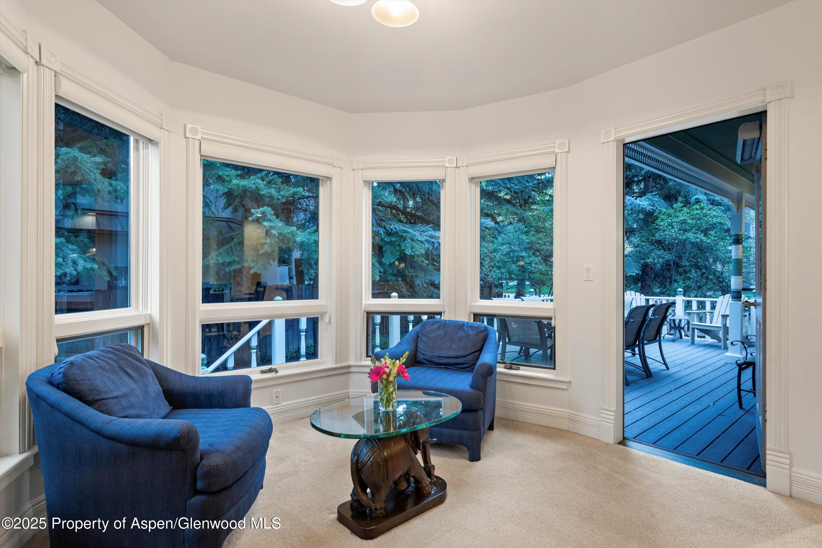 716 & 718 W Hallam Street Aspen CO 81611