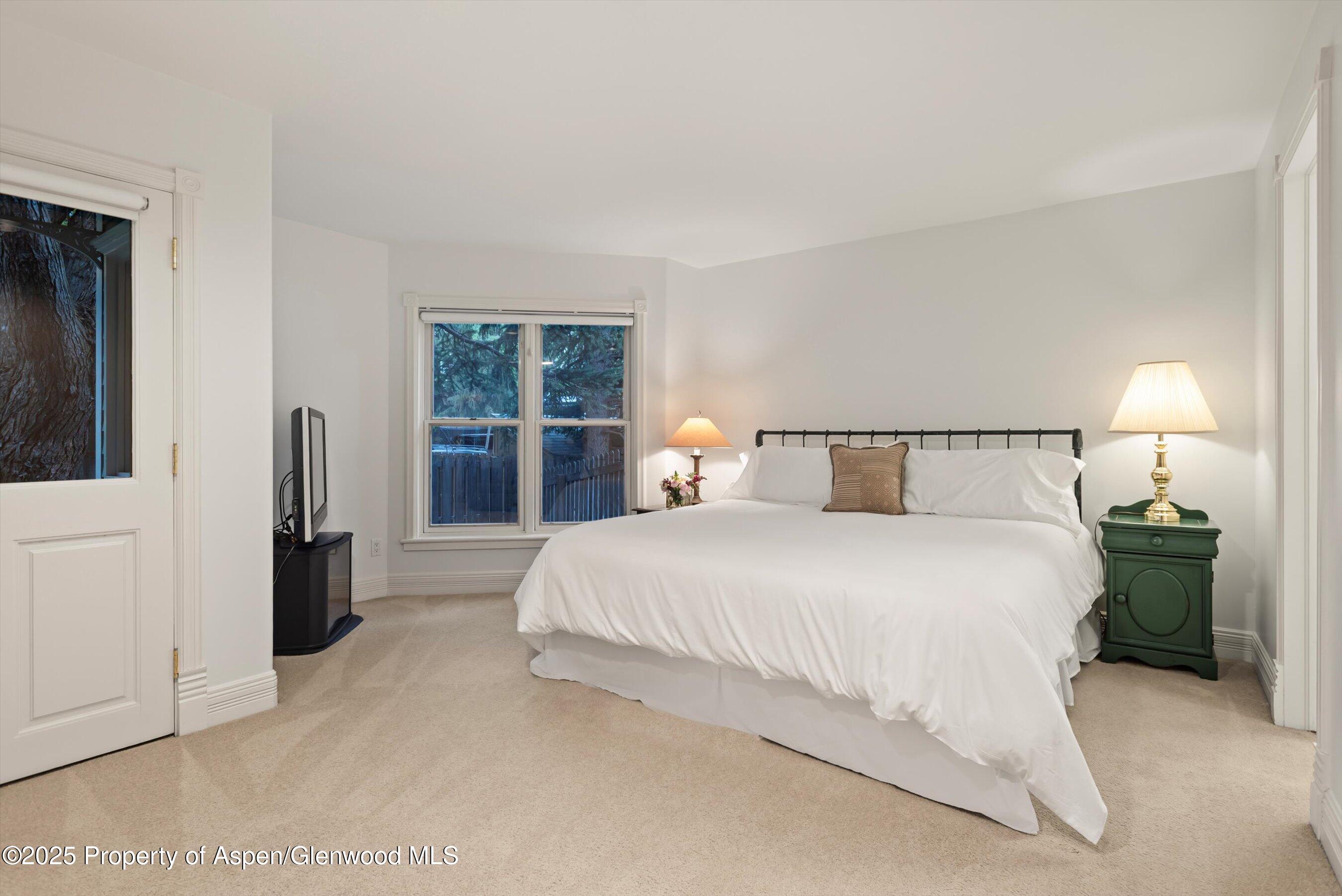 716 & 718 W Hallam Street Aspen CO 81611