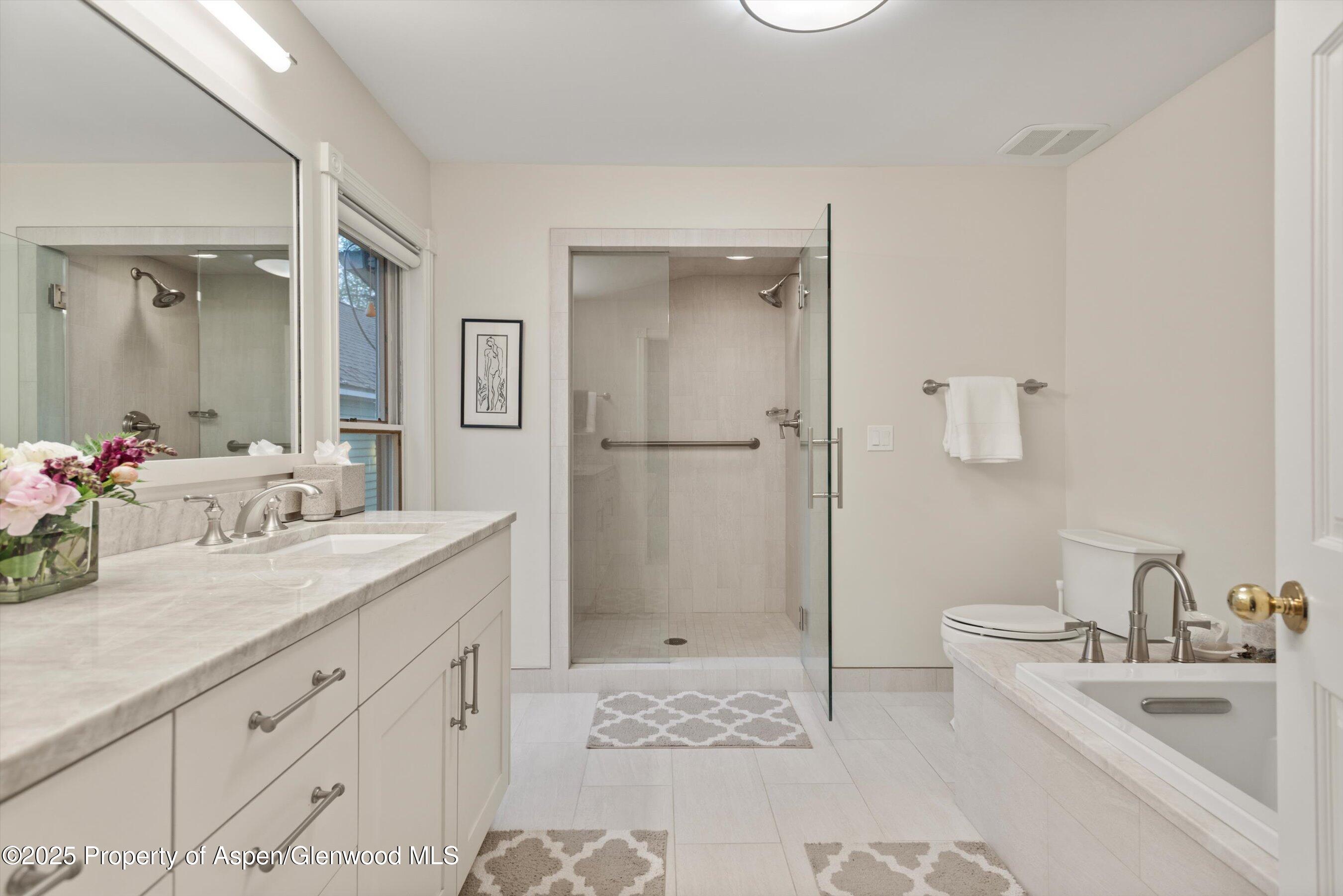 716 & 718 W Hallam Street Aspen CO 81611