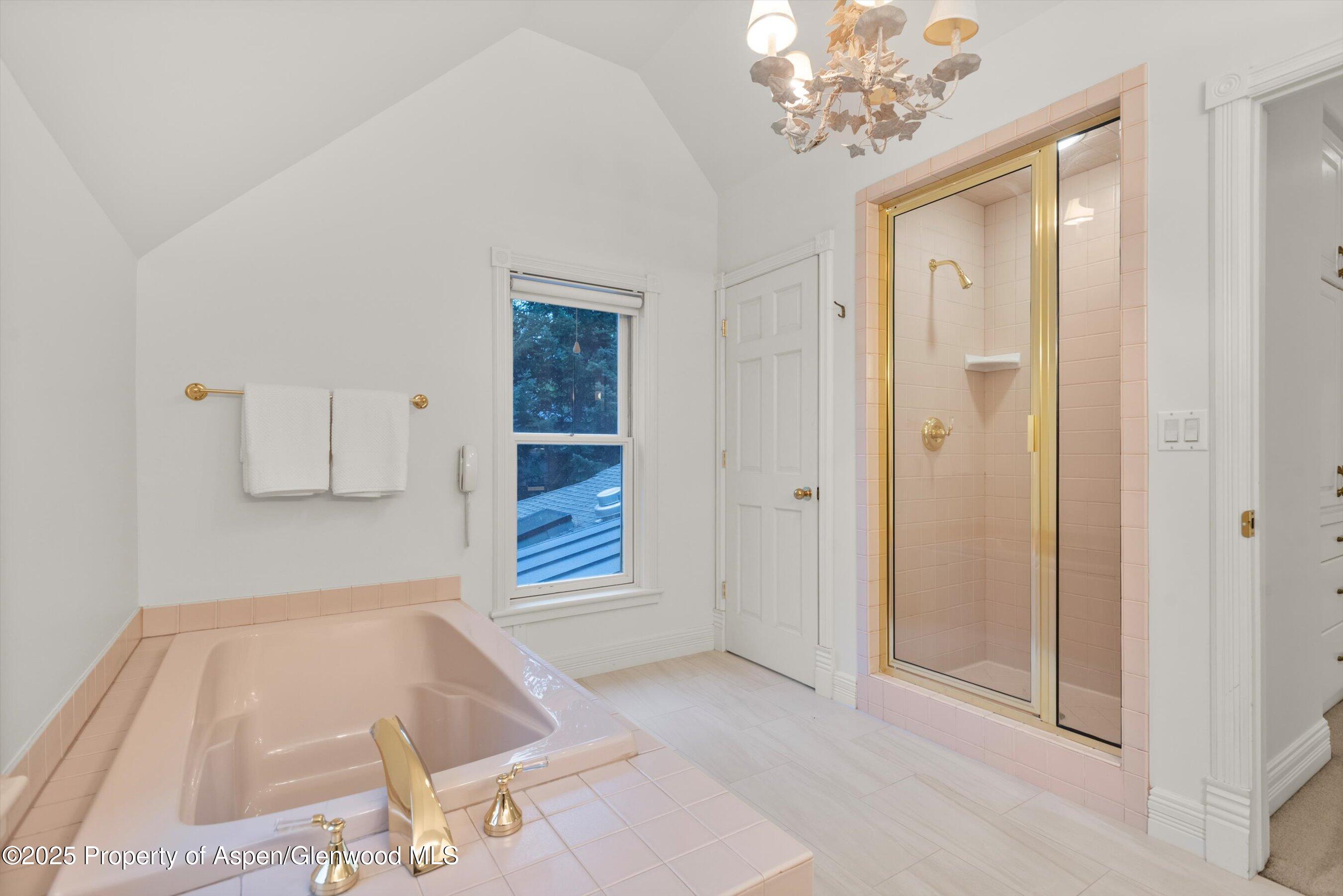 716 & 718 W Hallam Street Aspen CO 81611