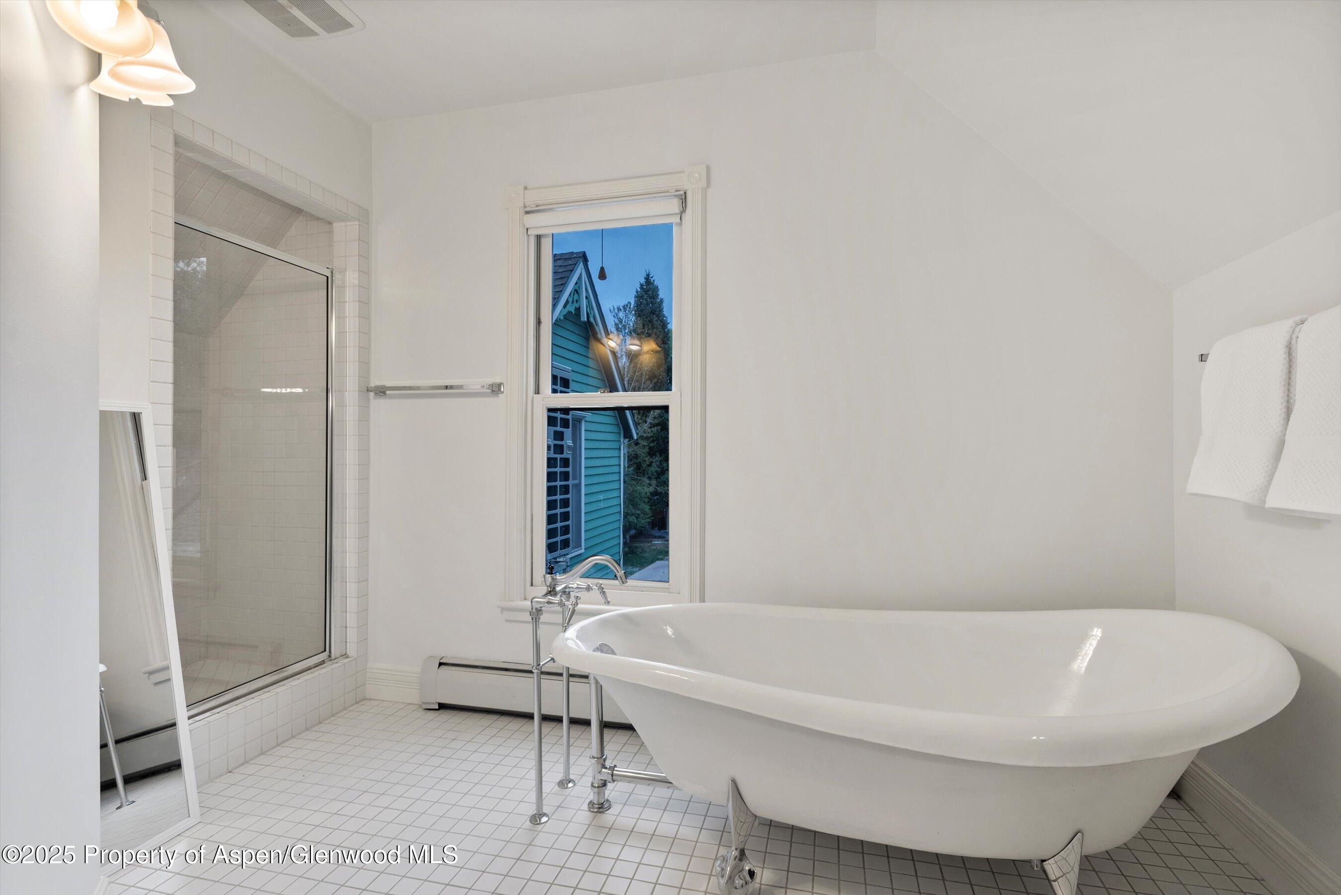 716 & 718 W Hallam Street Aspen CO 81611