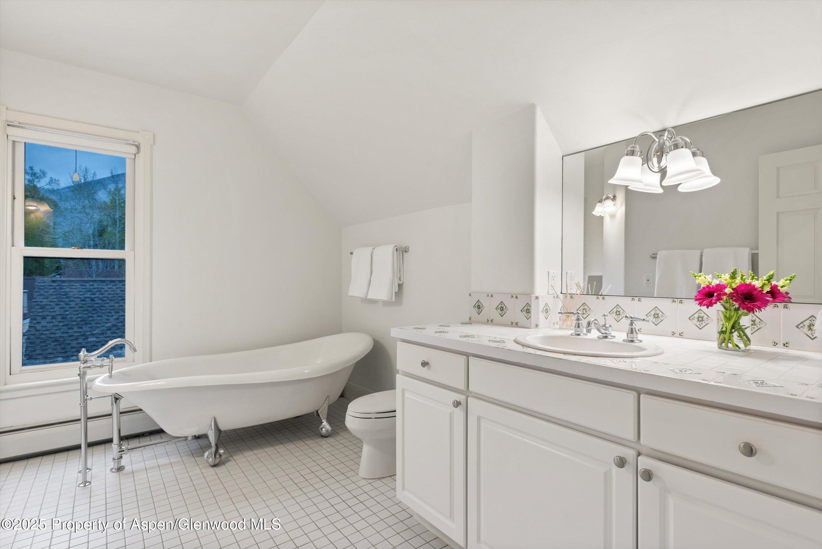 716 & 718 W Hallam Street Aspen CO 81611