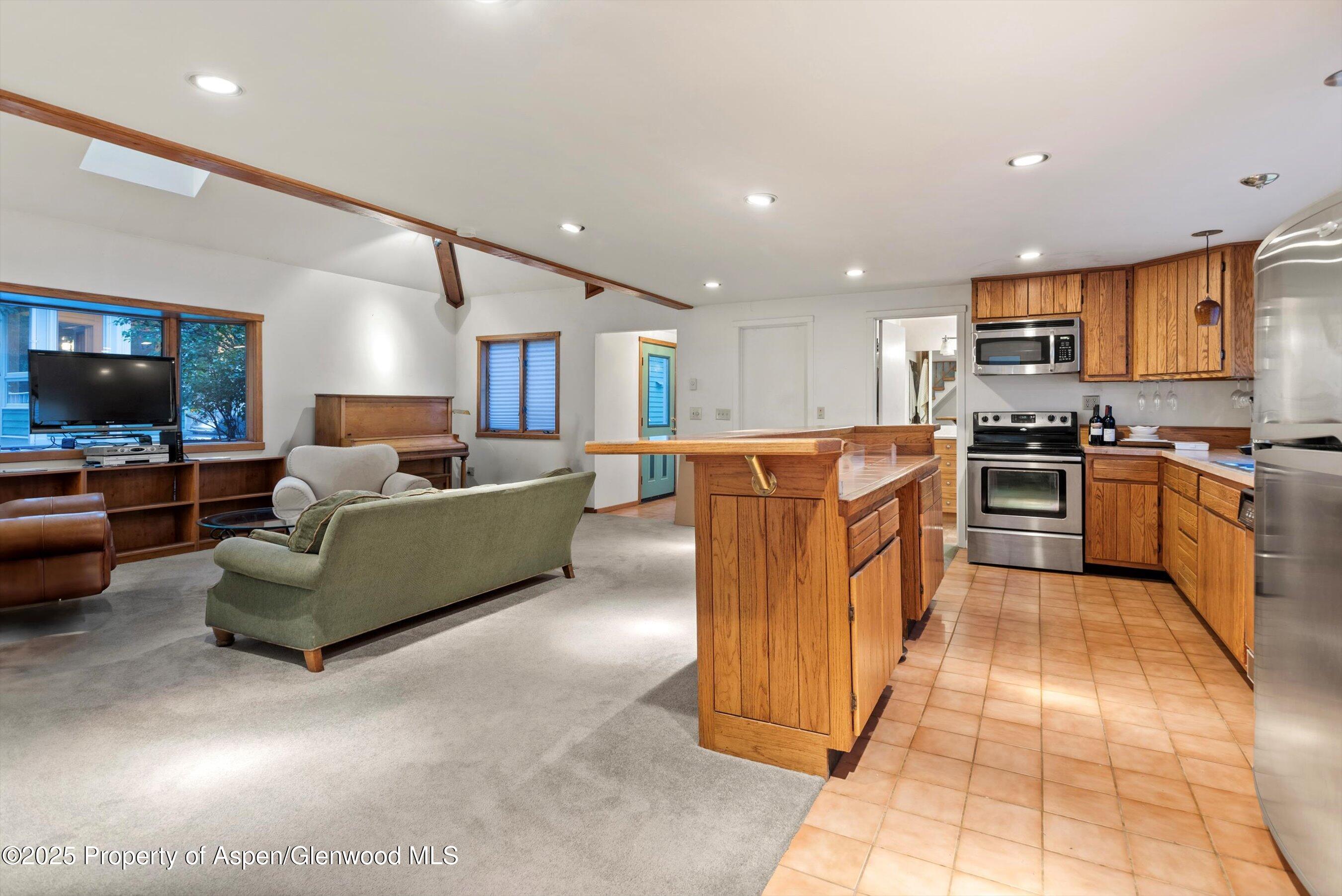 716 & 718 W Hallam Street Aspen CO 81611