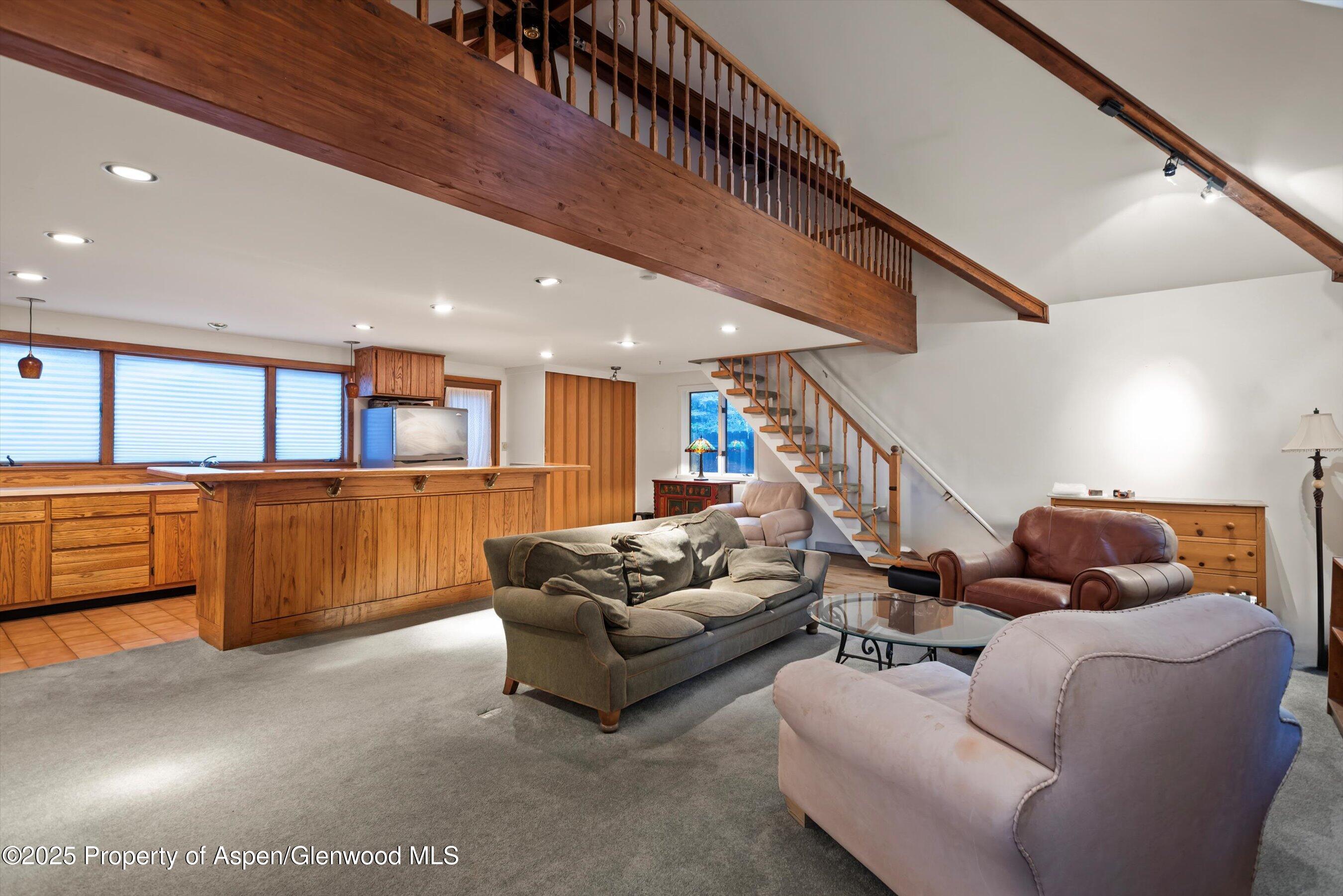 716 & 718 W Hallam Street Aspen CO 81611