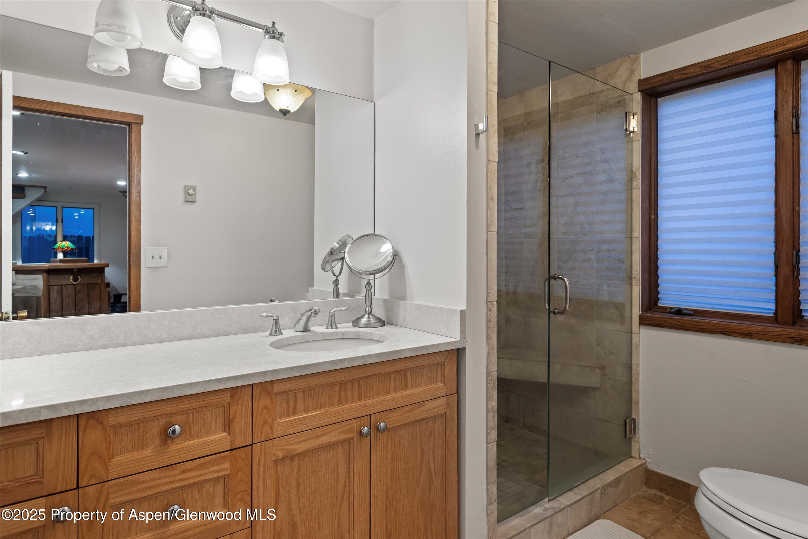 716 & 718 W Hallam Street Aspen CO 81611