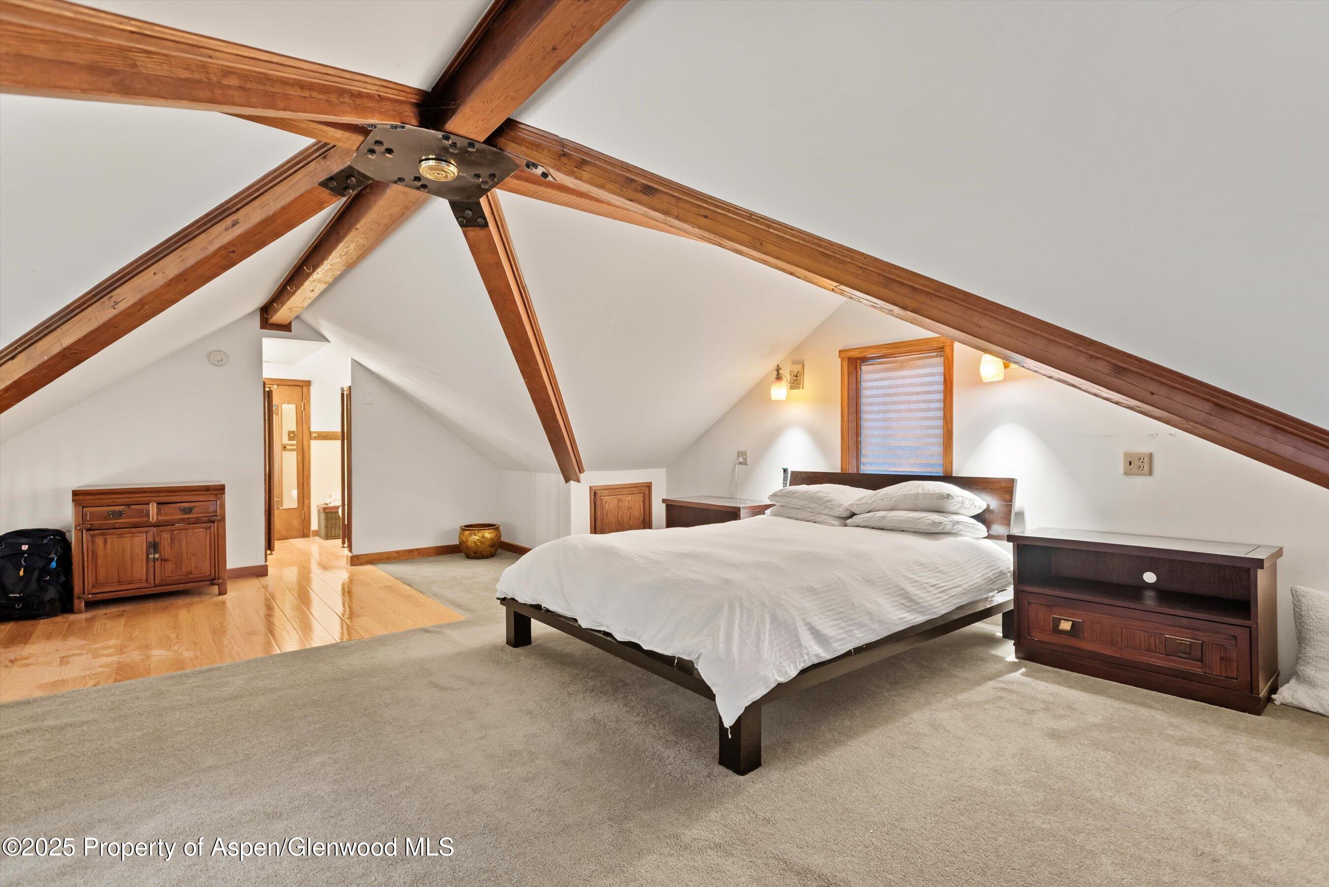 716 & 718 W Hallam Street Aspen CO 81611