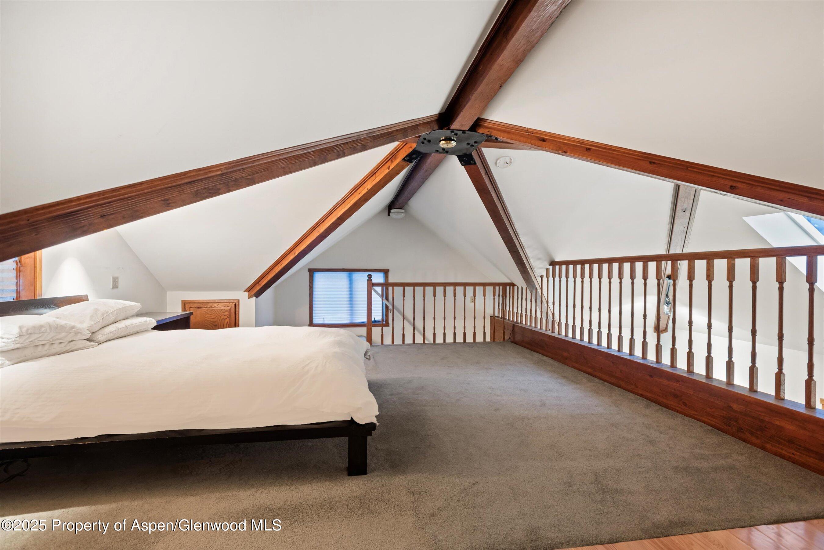 716 & 718 W Hallam Street Aspen CO 81611