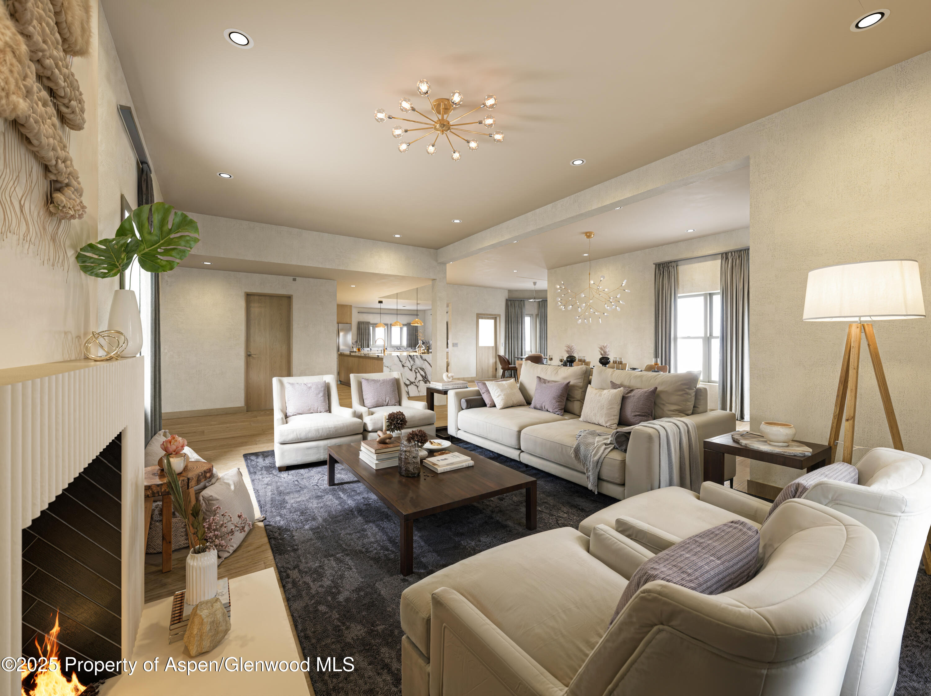 716 & 718 W Hallam Street Aspen CO 81611