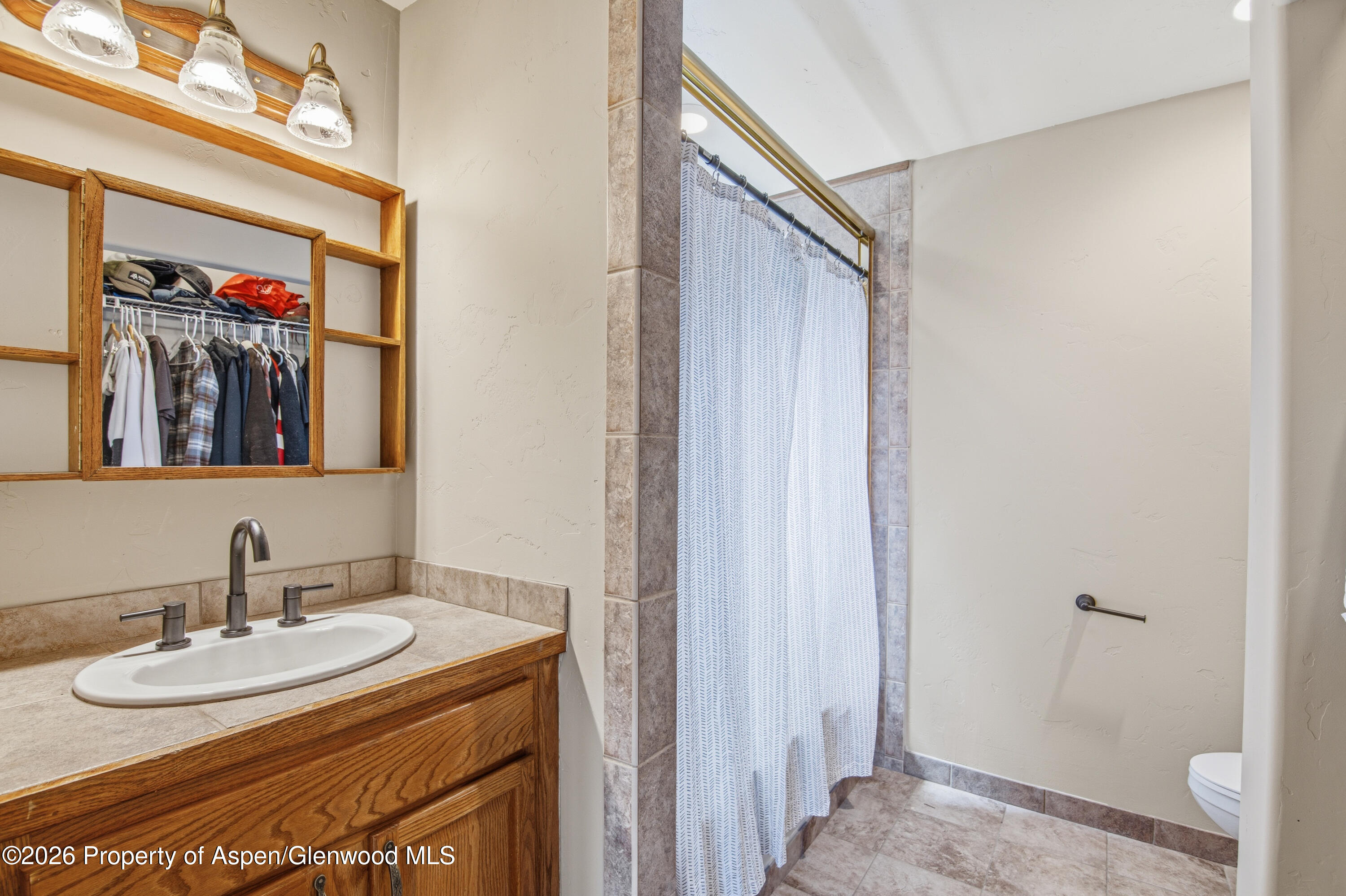 33 Iron Horse Road Carbondale CO 81623