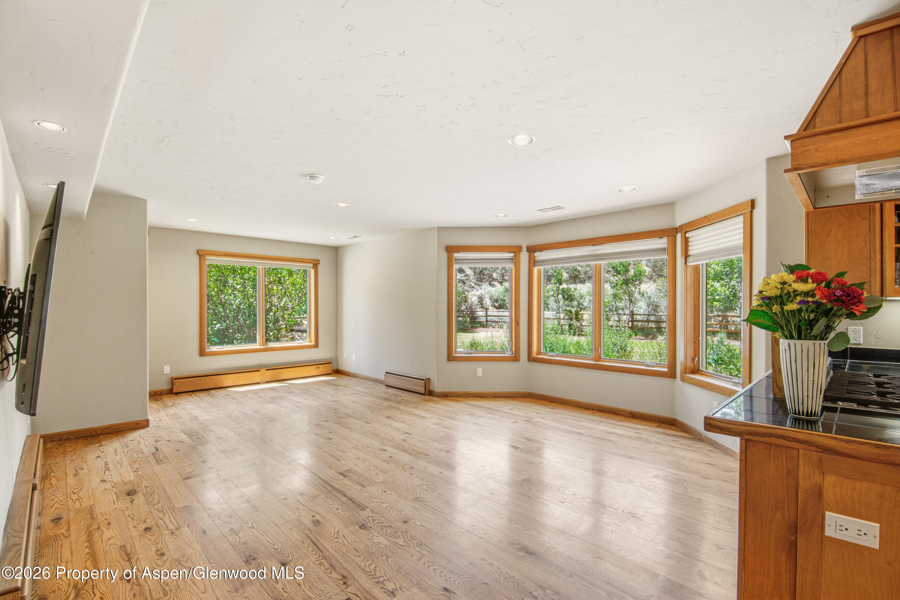 33 Iron Horse Road Carbondale CO 81623