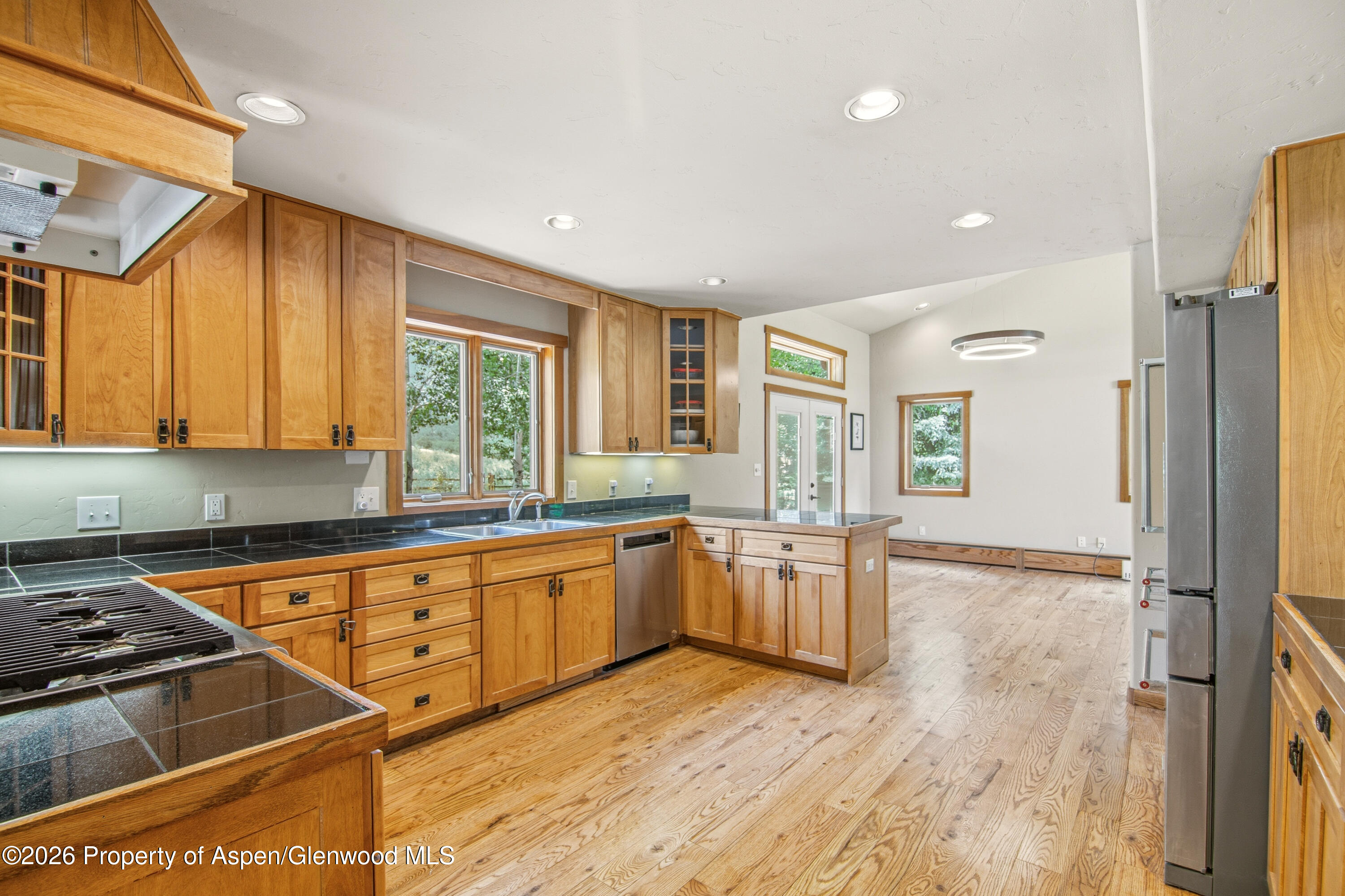 33 Iron Horse Road Carbondale CO 81623