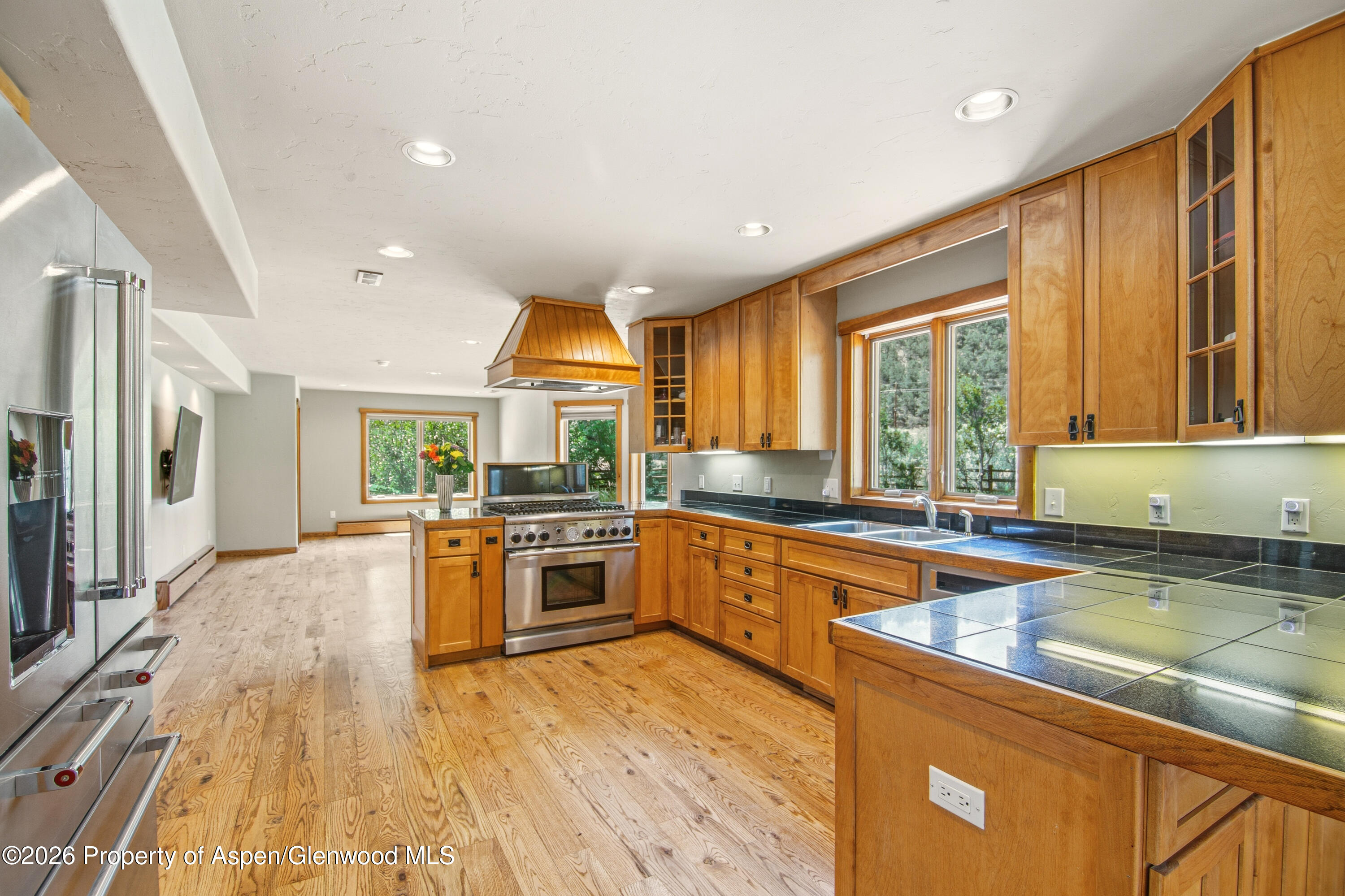 33 Iron Horse Road Carbondale CO 81623