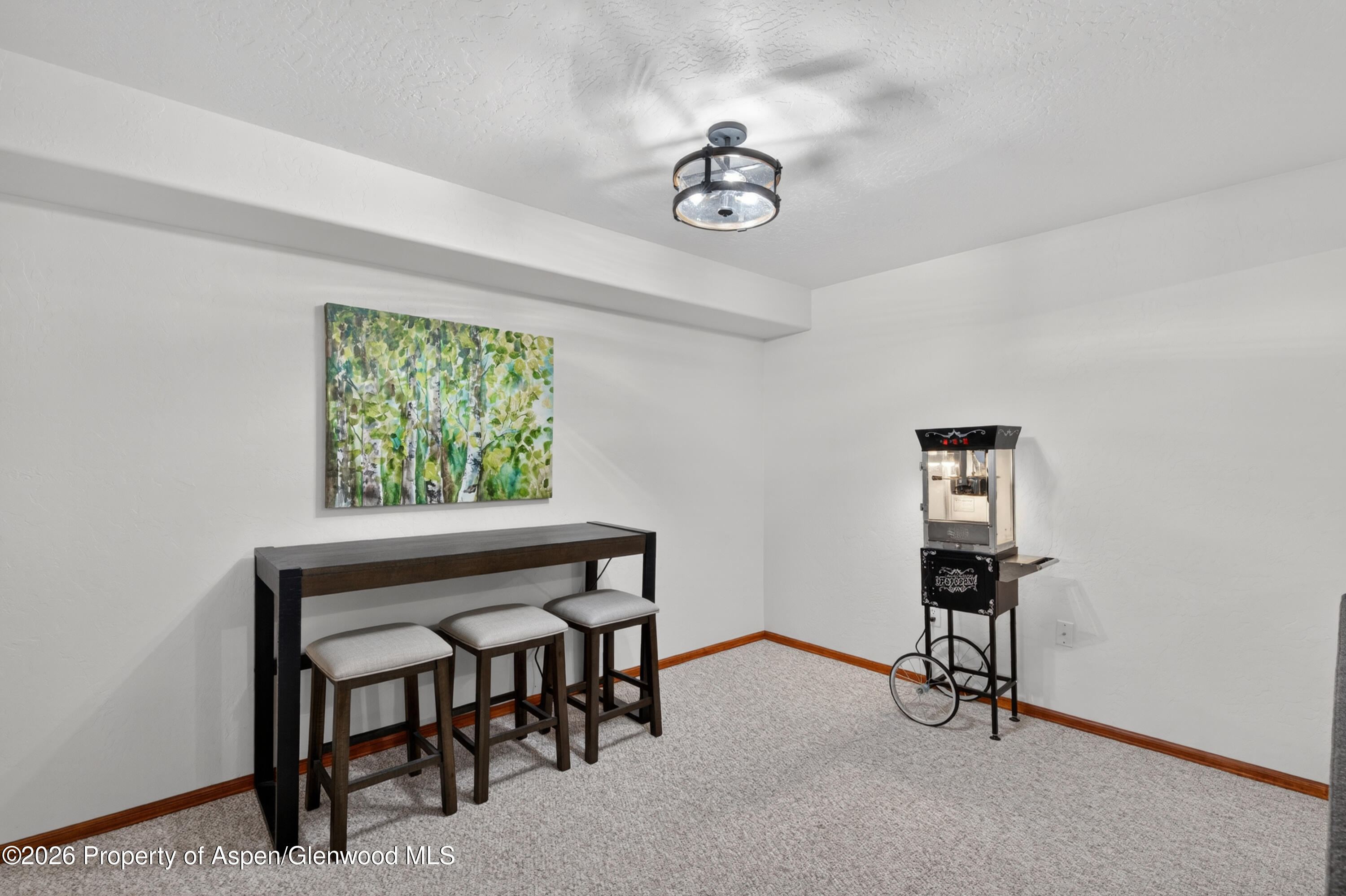 610 E 1st New Castle CO 81647