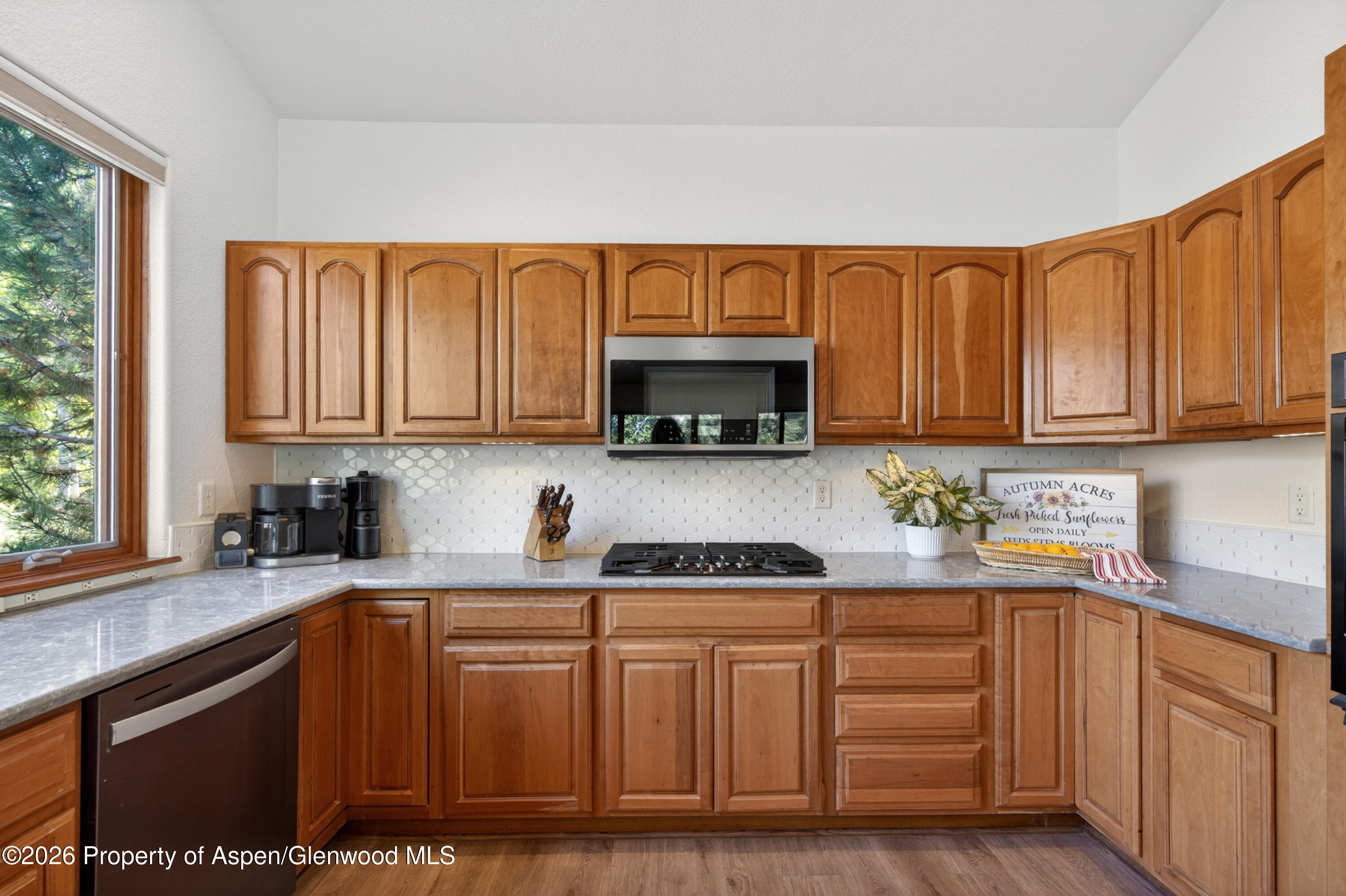 610 E 1st New Castle CO 81647
