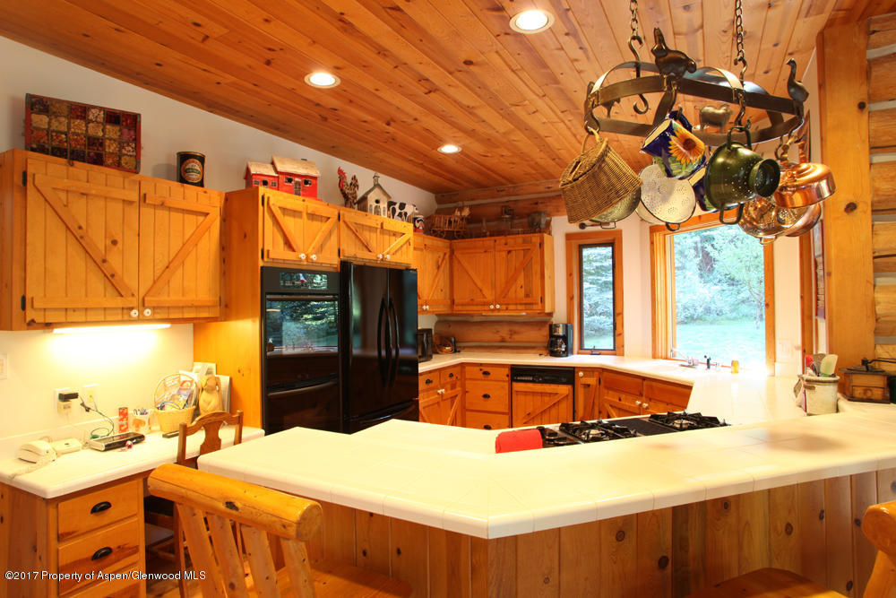 1229 Evergreen Lane Carbondale CO 81623