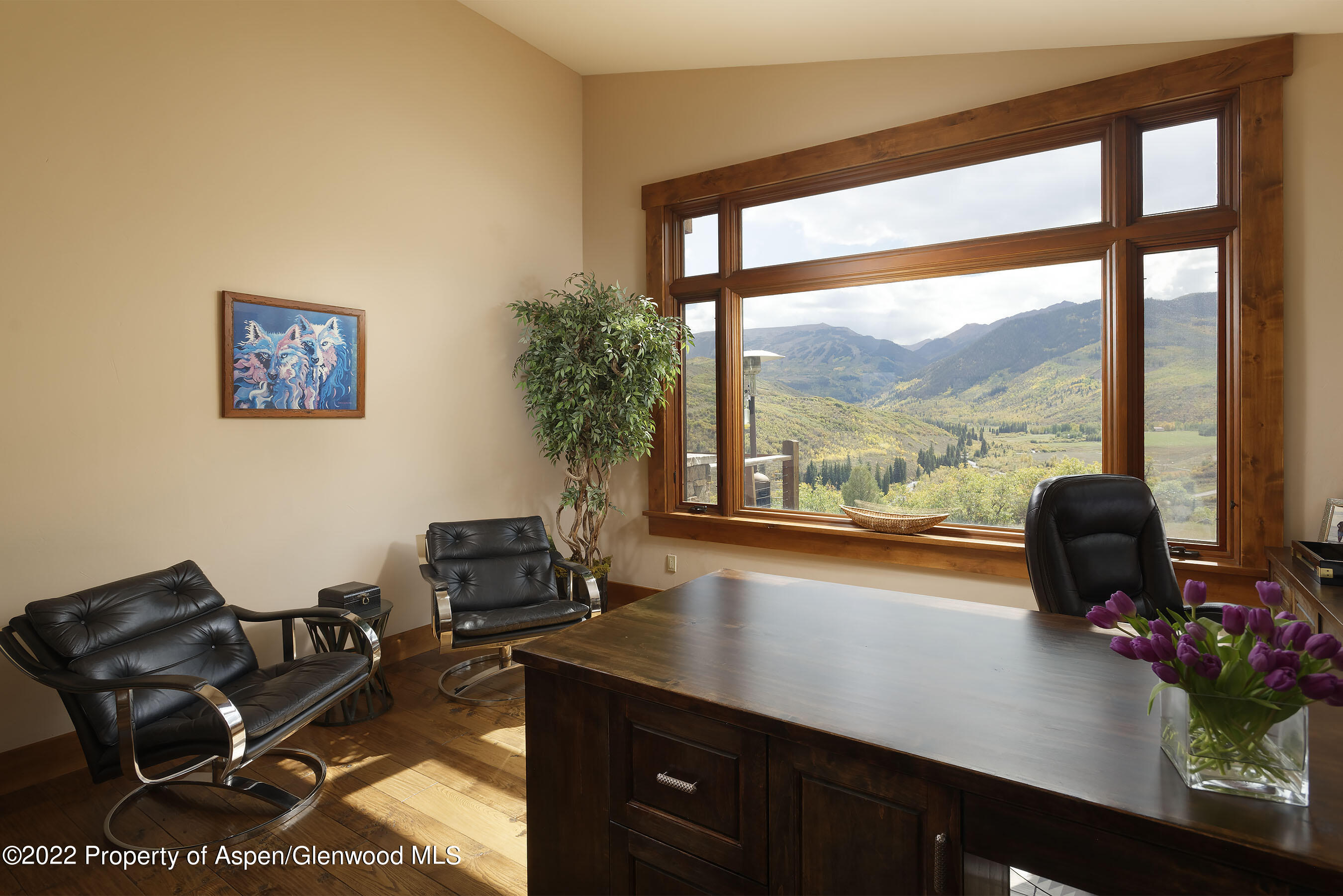 300 Old Pond Way Snowmass CO 81654